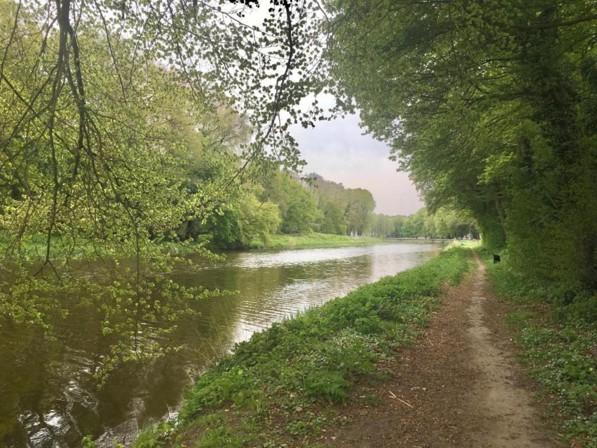 Vakantiepark De Lochemse Berg 1 in Lochem - Foto 36 van 40