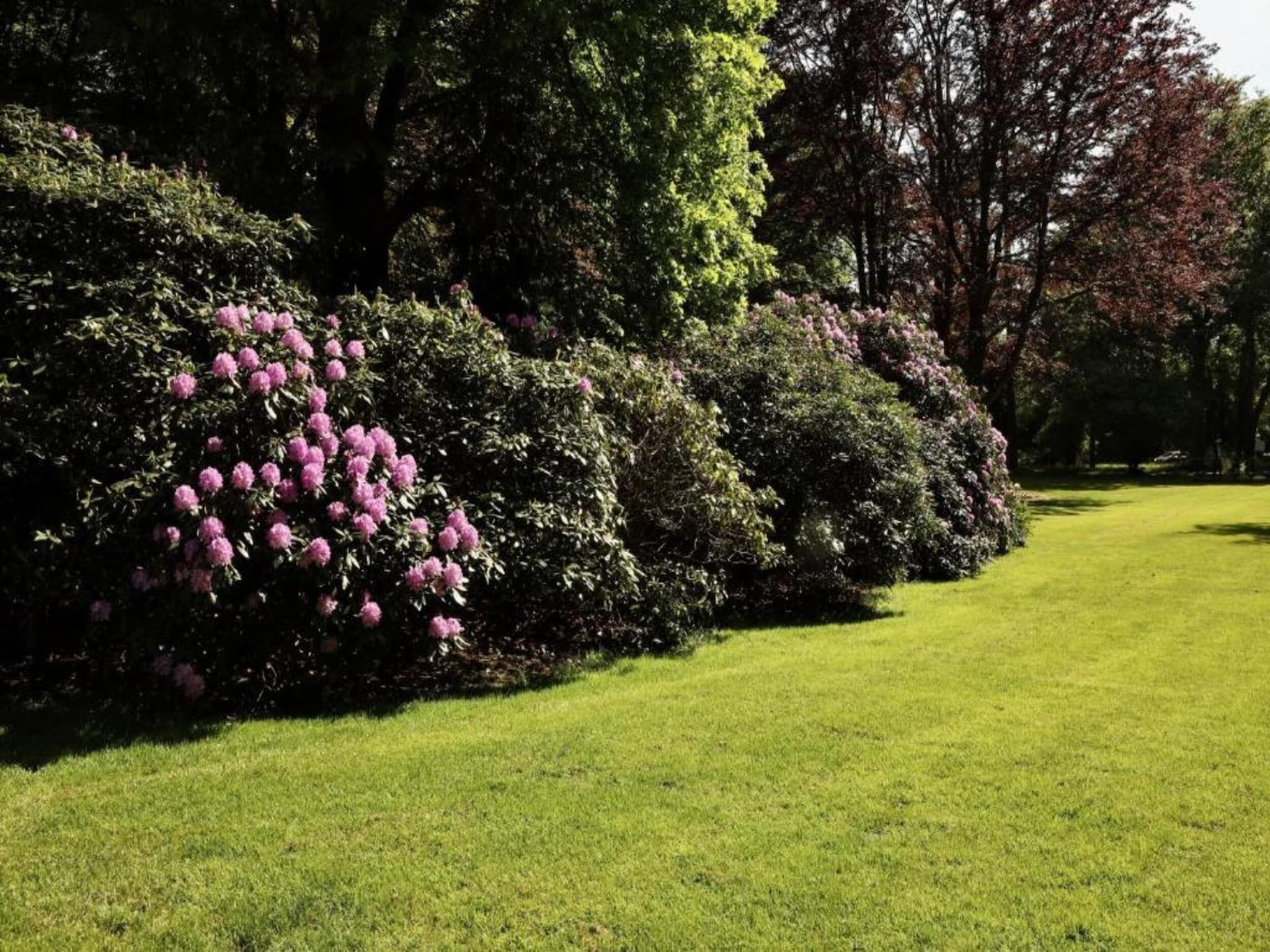 Vakantiepark De Lochemse Berg 1 in Lochem - Foto 40 van 40