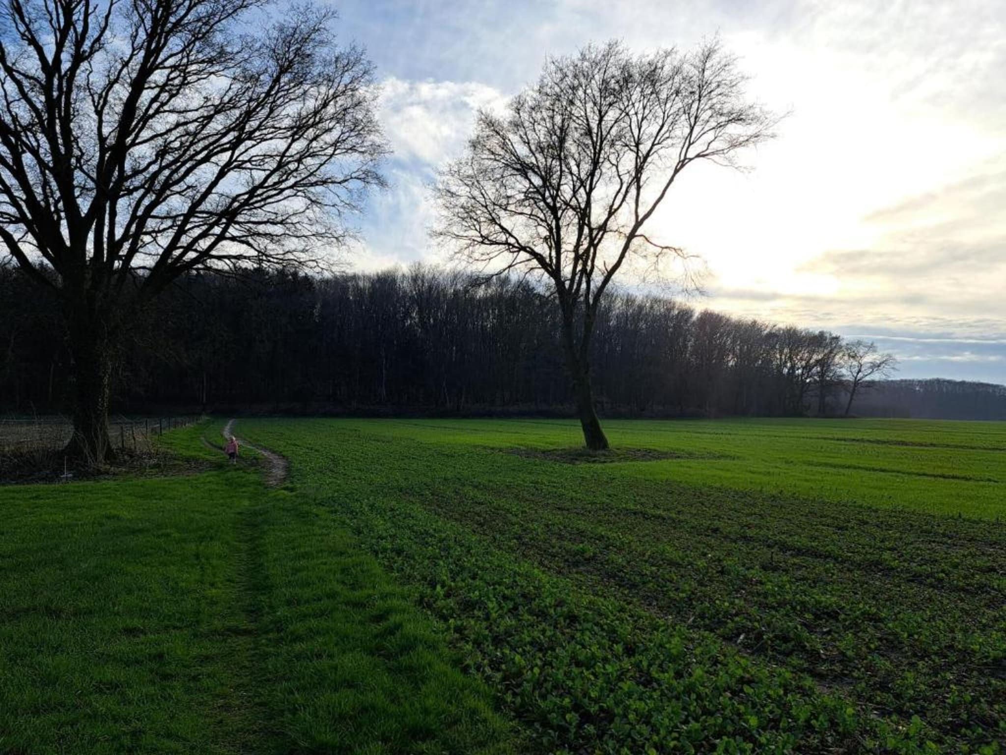 Vakantiepark De Lochemse Berg 1 in Lochem - Foto 17 van 40