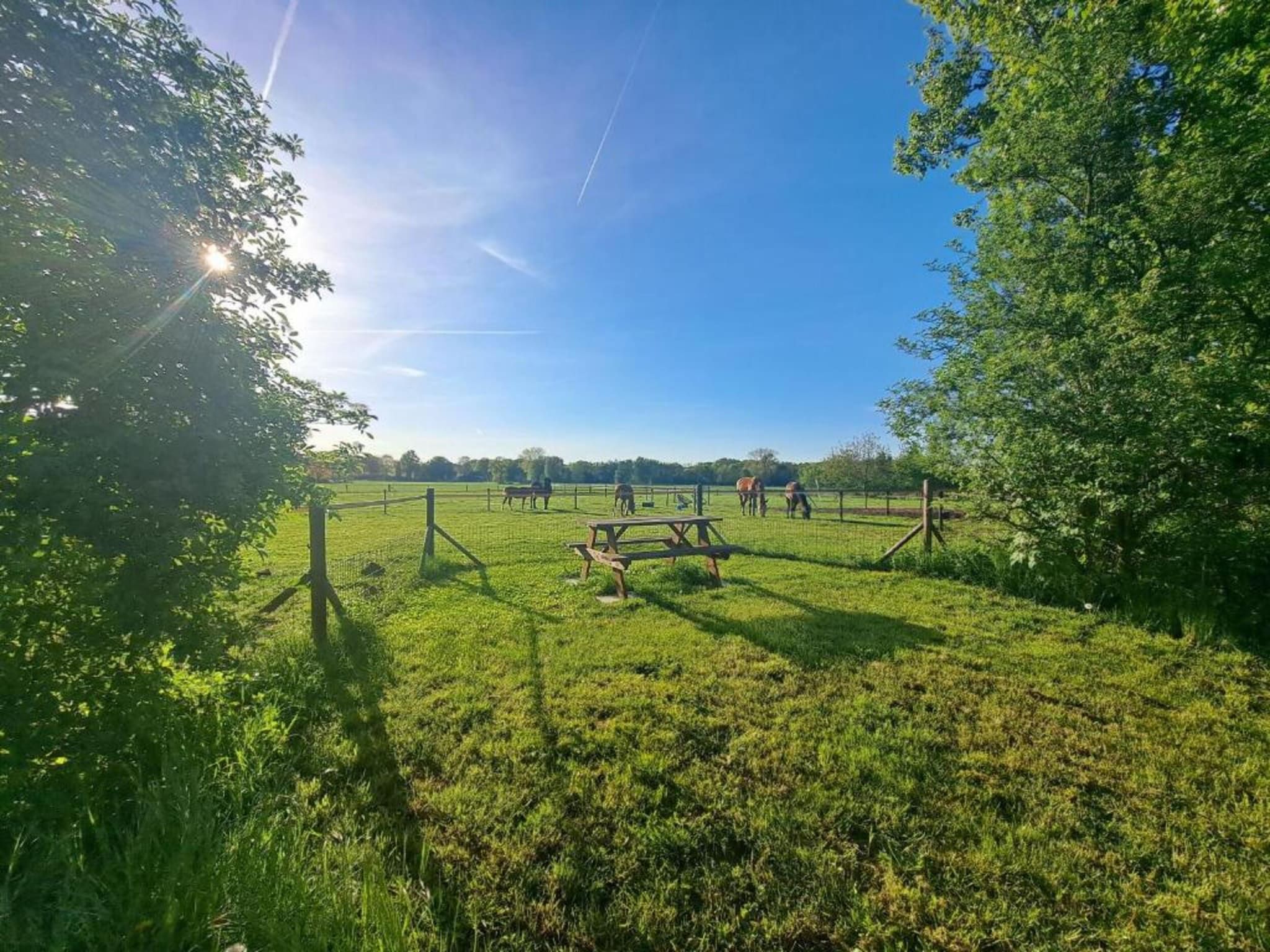 Vakantiepark De Lochemse Berg 1 in Lochem - Foto 14 van 40