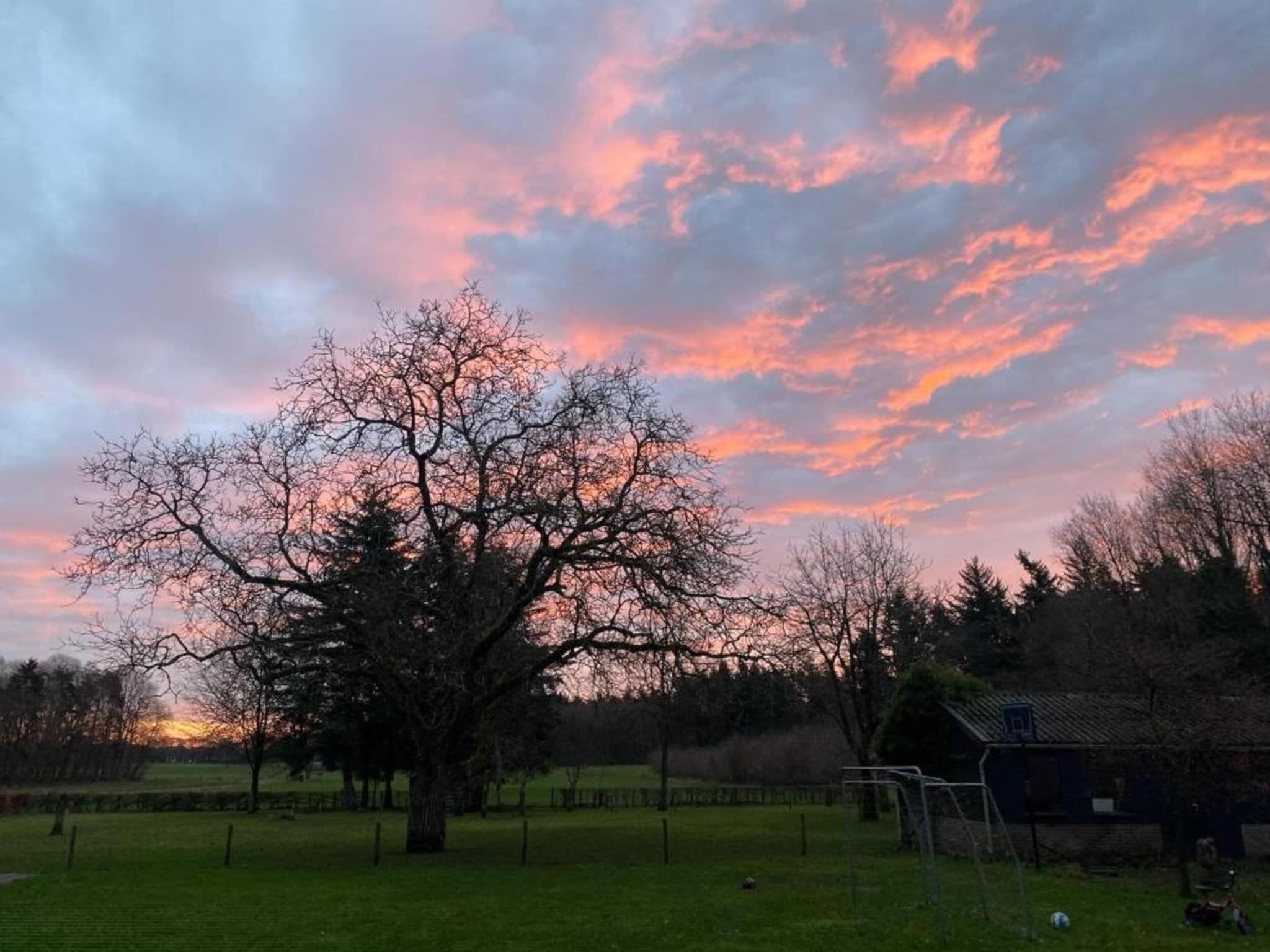 Vakantiepark De Lochemse Berg 2 in Lochem - Foto 28 van 40