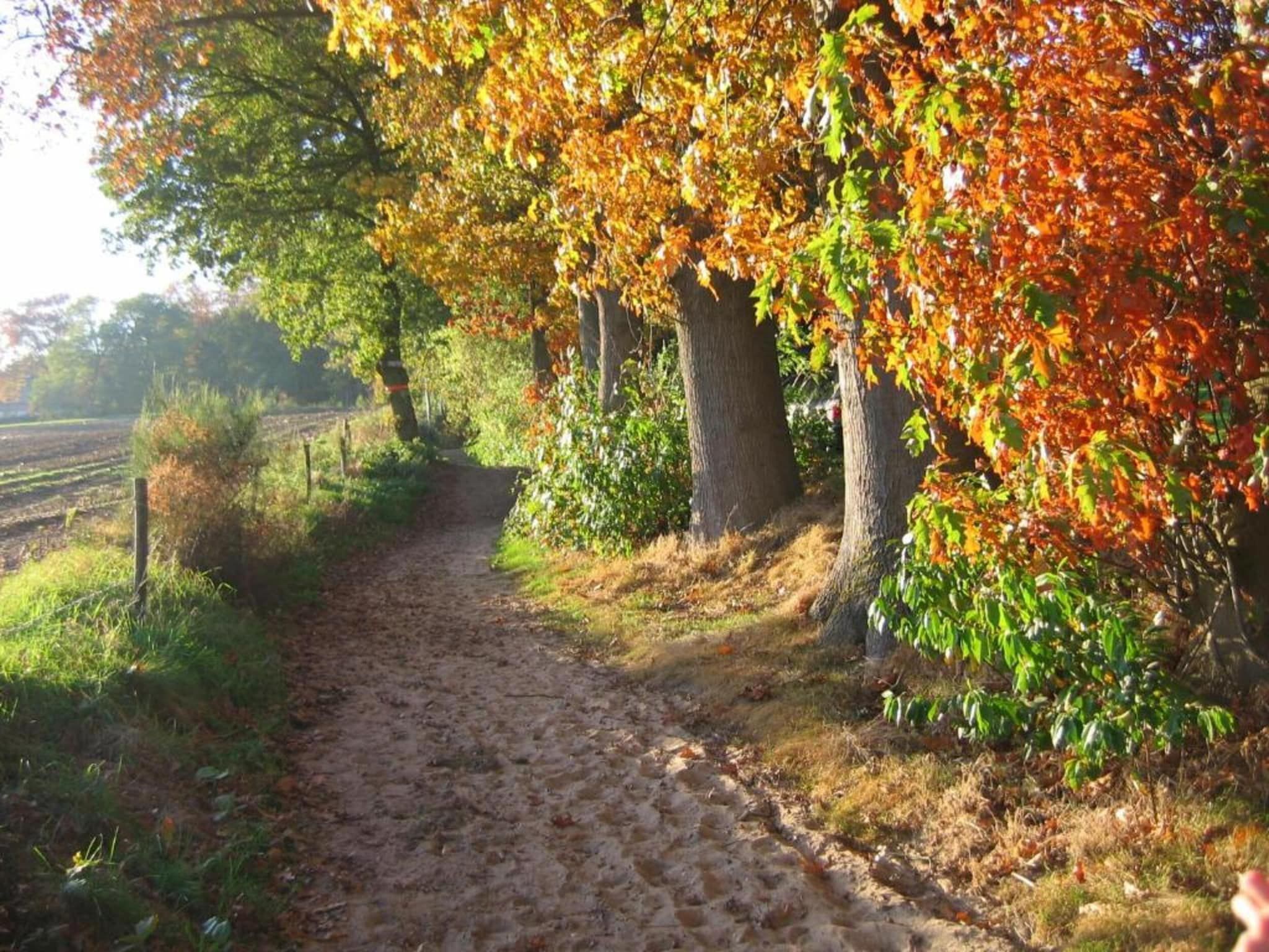 Vakantiepark De Lochemse Berg 2 in Lochem - Foto 33 van 40