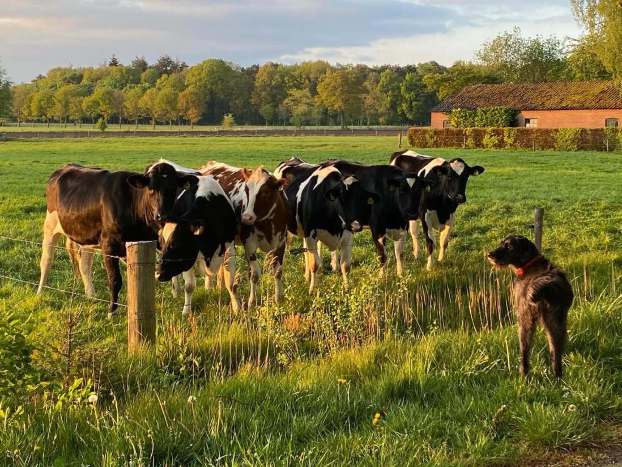 Vakantiepark De Lochemse Berg 2 in Lochem - Foto 22 van 40