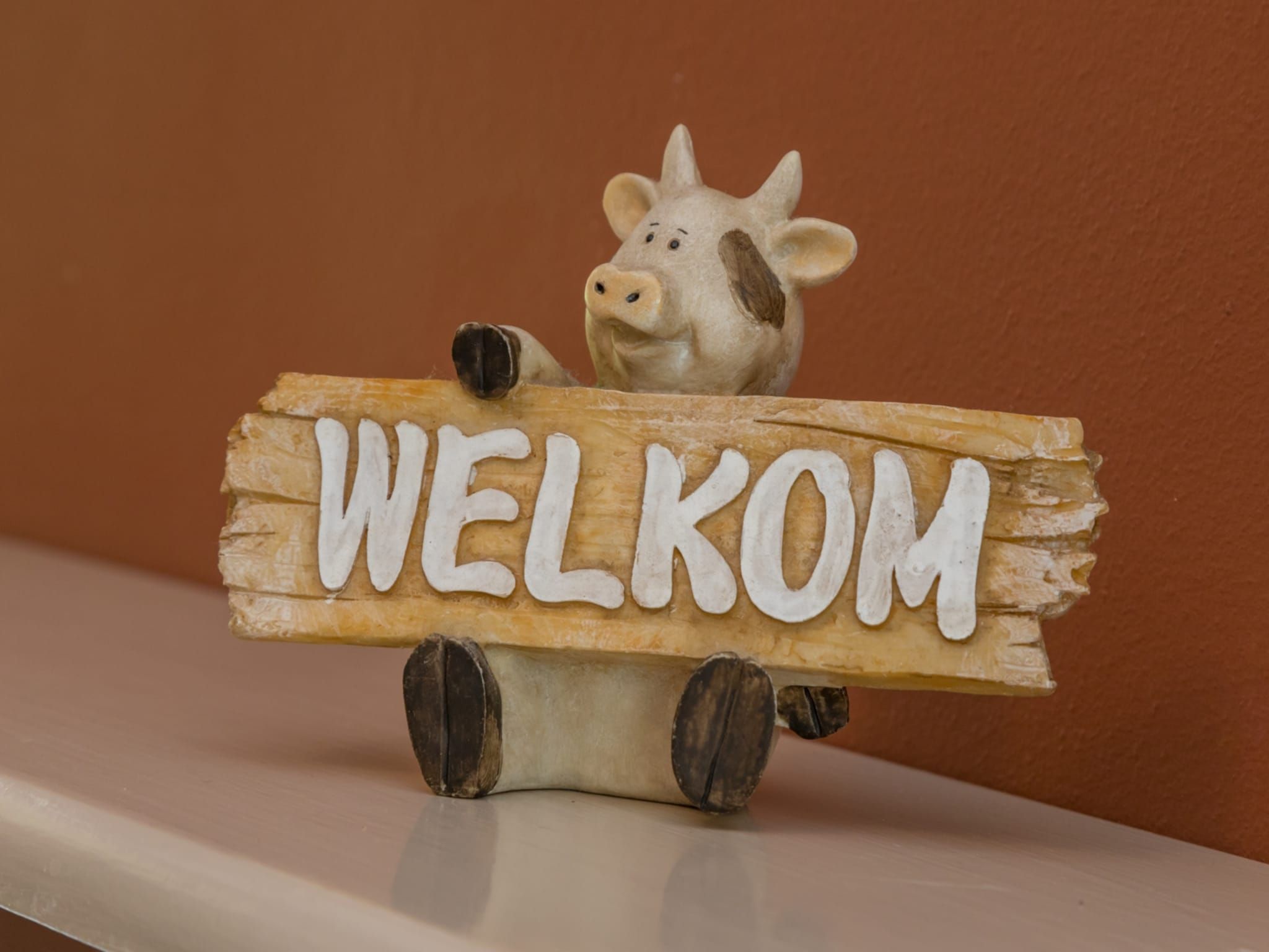 Sfeerbeeld van Appartement - Burg van Woelderenlaan 100-2 in Walcheren