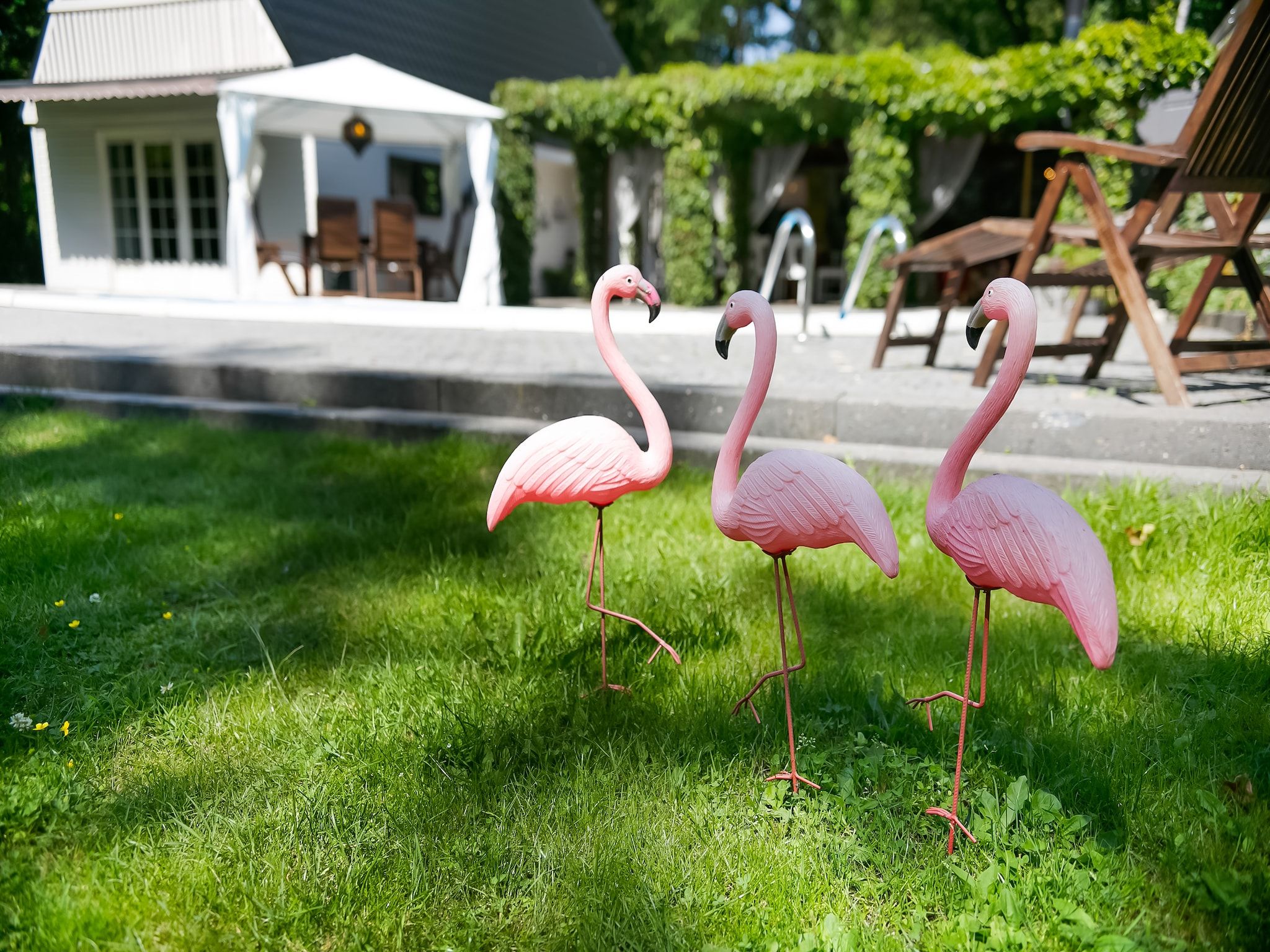 De tuin van Botterlodge in Wateren