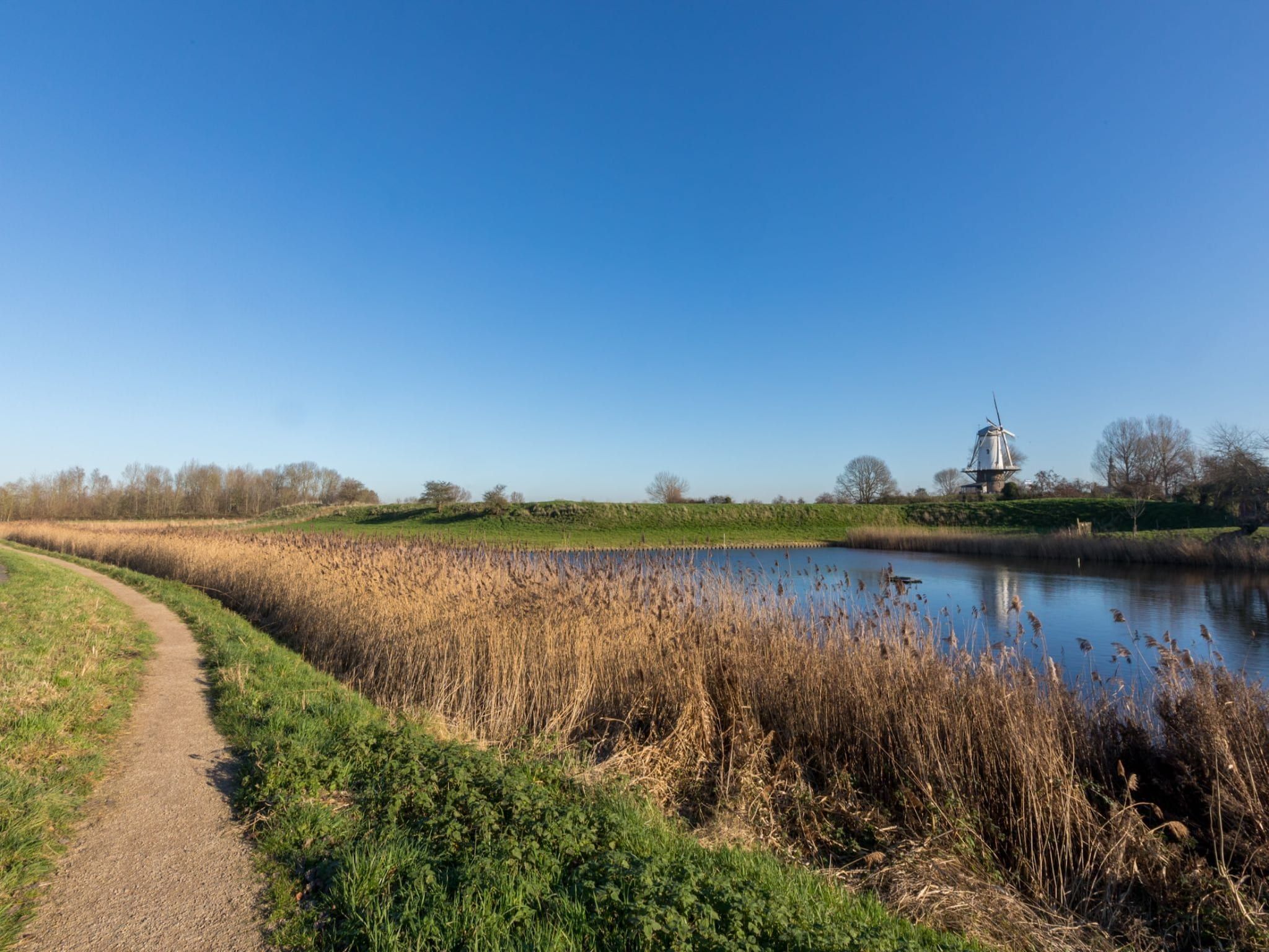 Het uitzicht vanaf Kievitenlaan 22 in Veere
