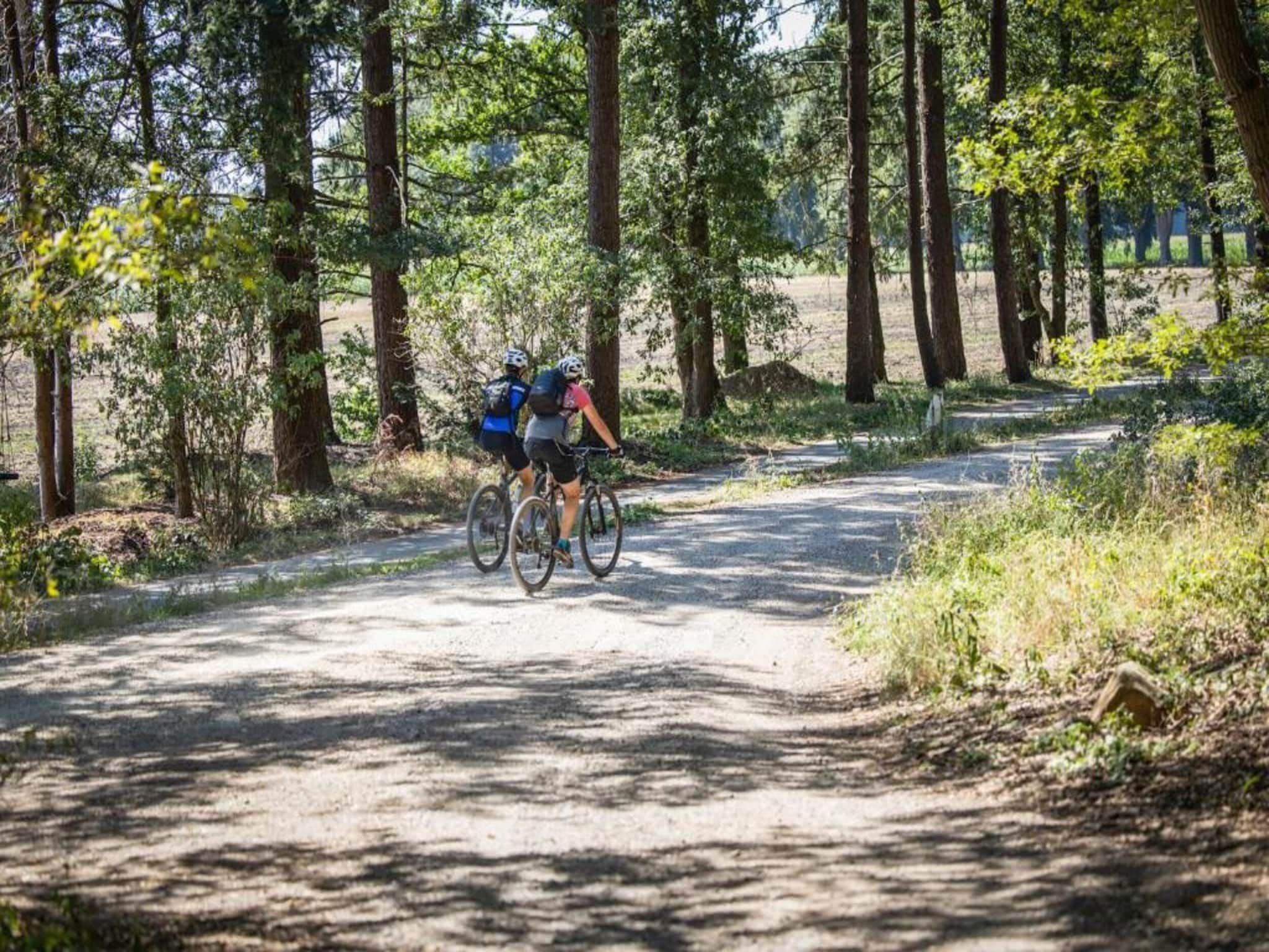 Finse Bungalow in Holten in Holten - Foto 33 van 40