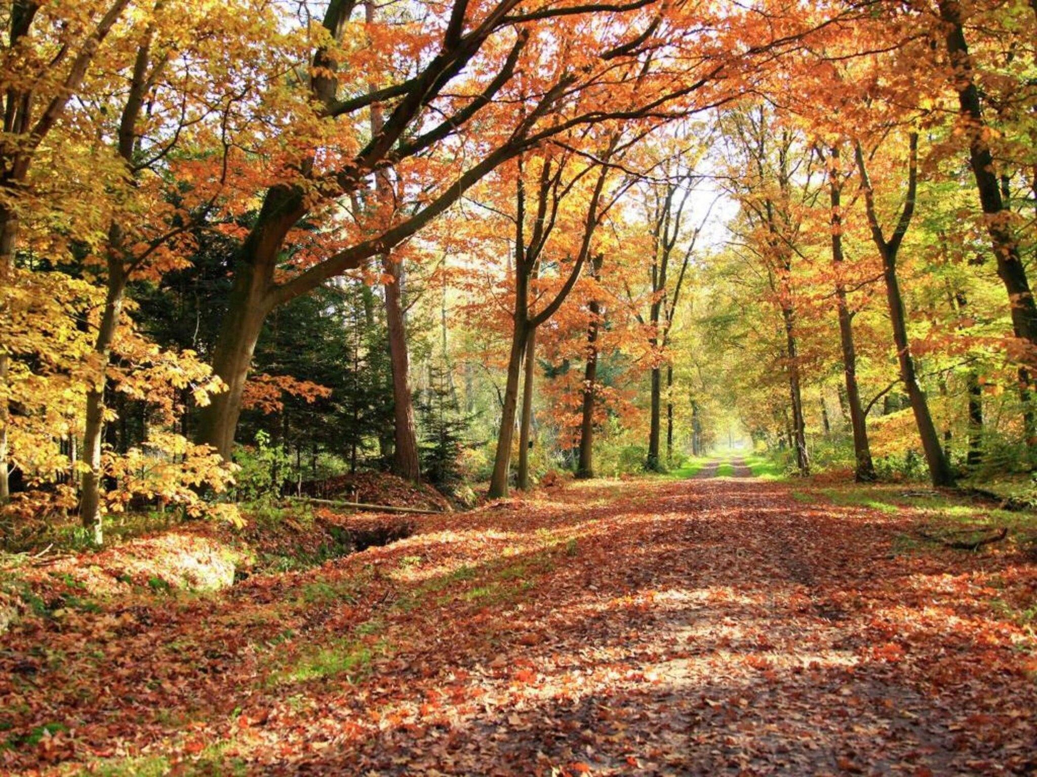 Finse Bungalow in Holten in Holten - Foto 32 van 40