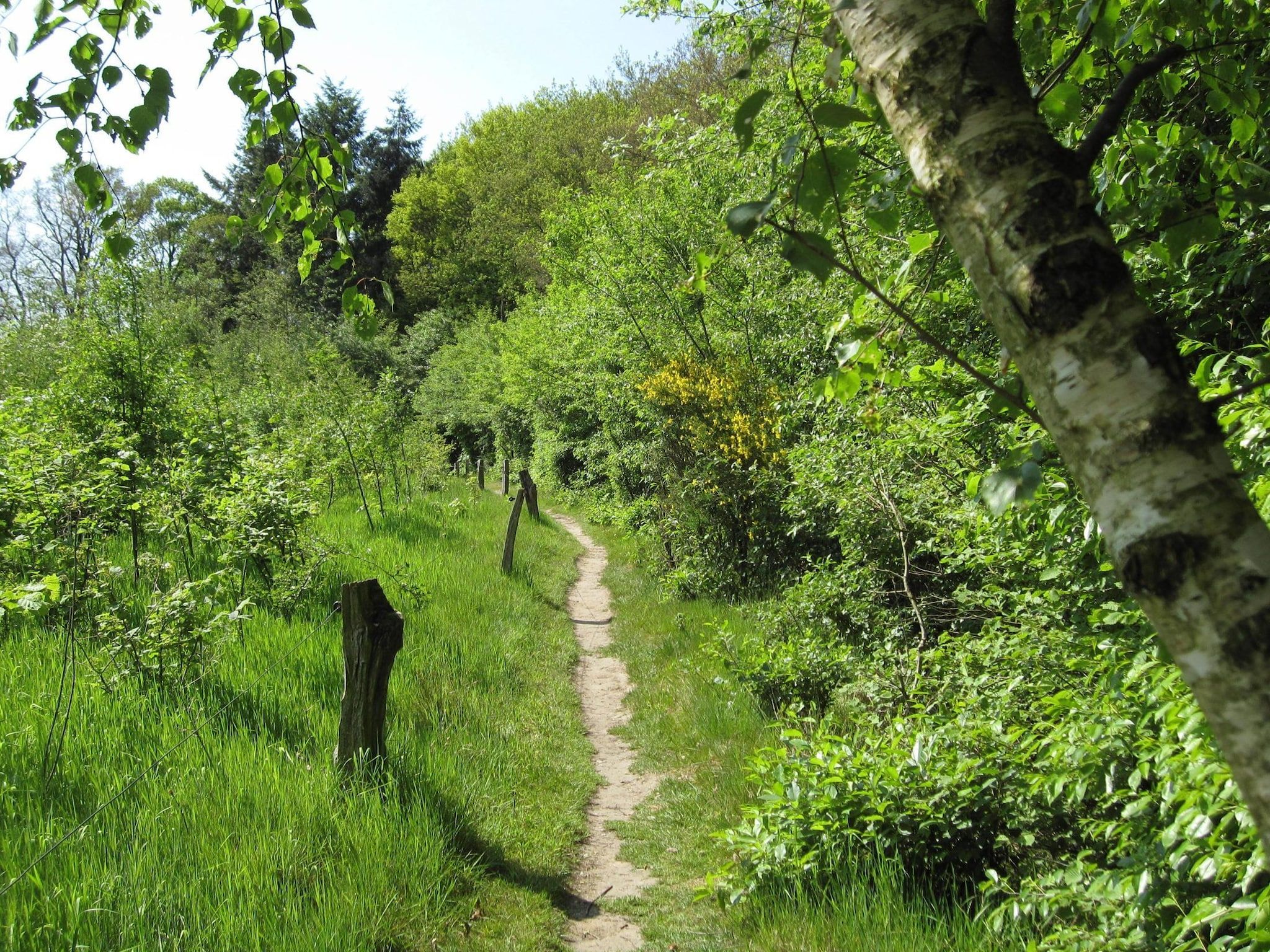 De Grimberghoeve 2 in Notter - Foto 24 van 32