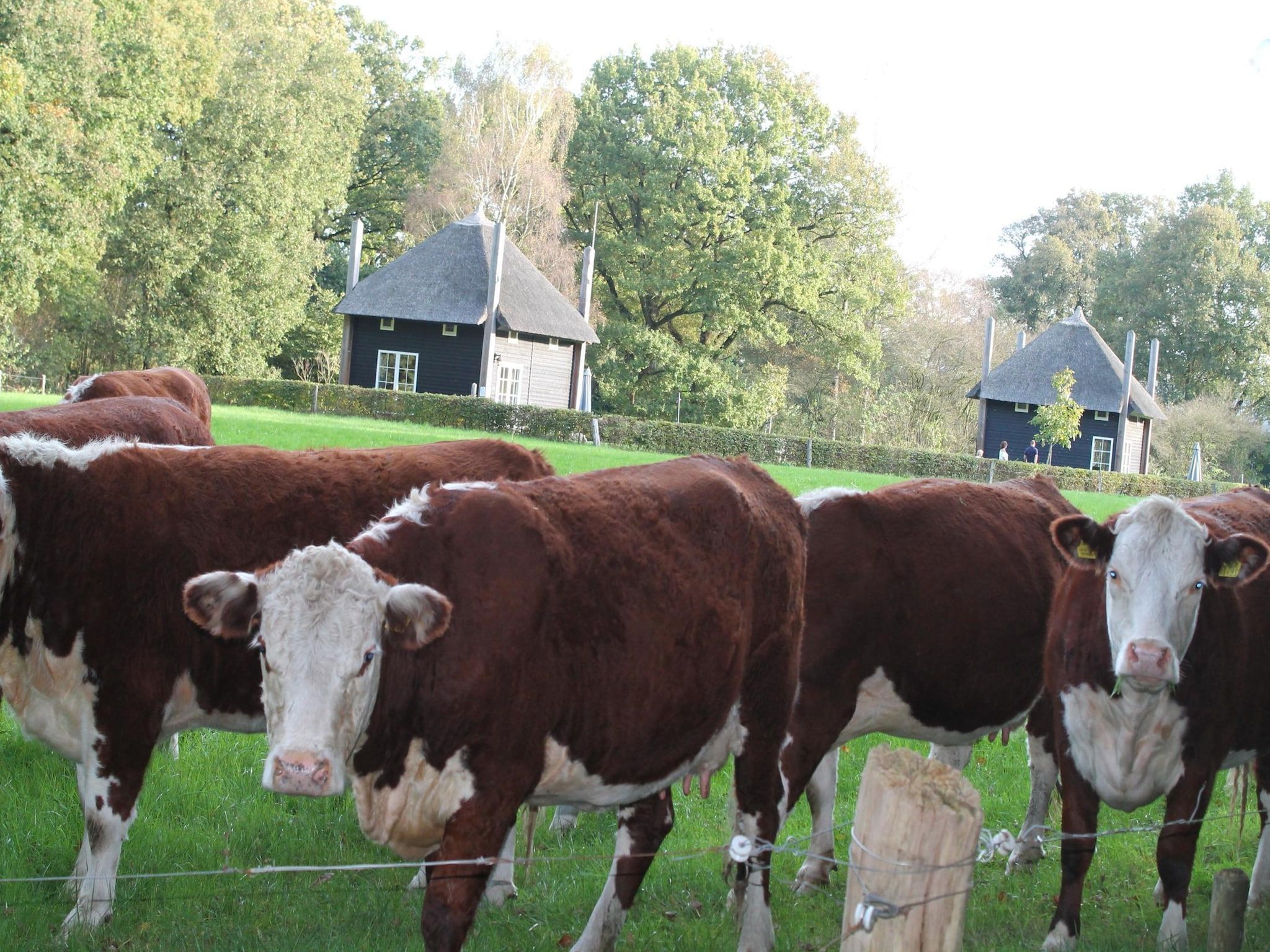 Voorzieningen bij De Grimberghoeve 2 in Notter