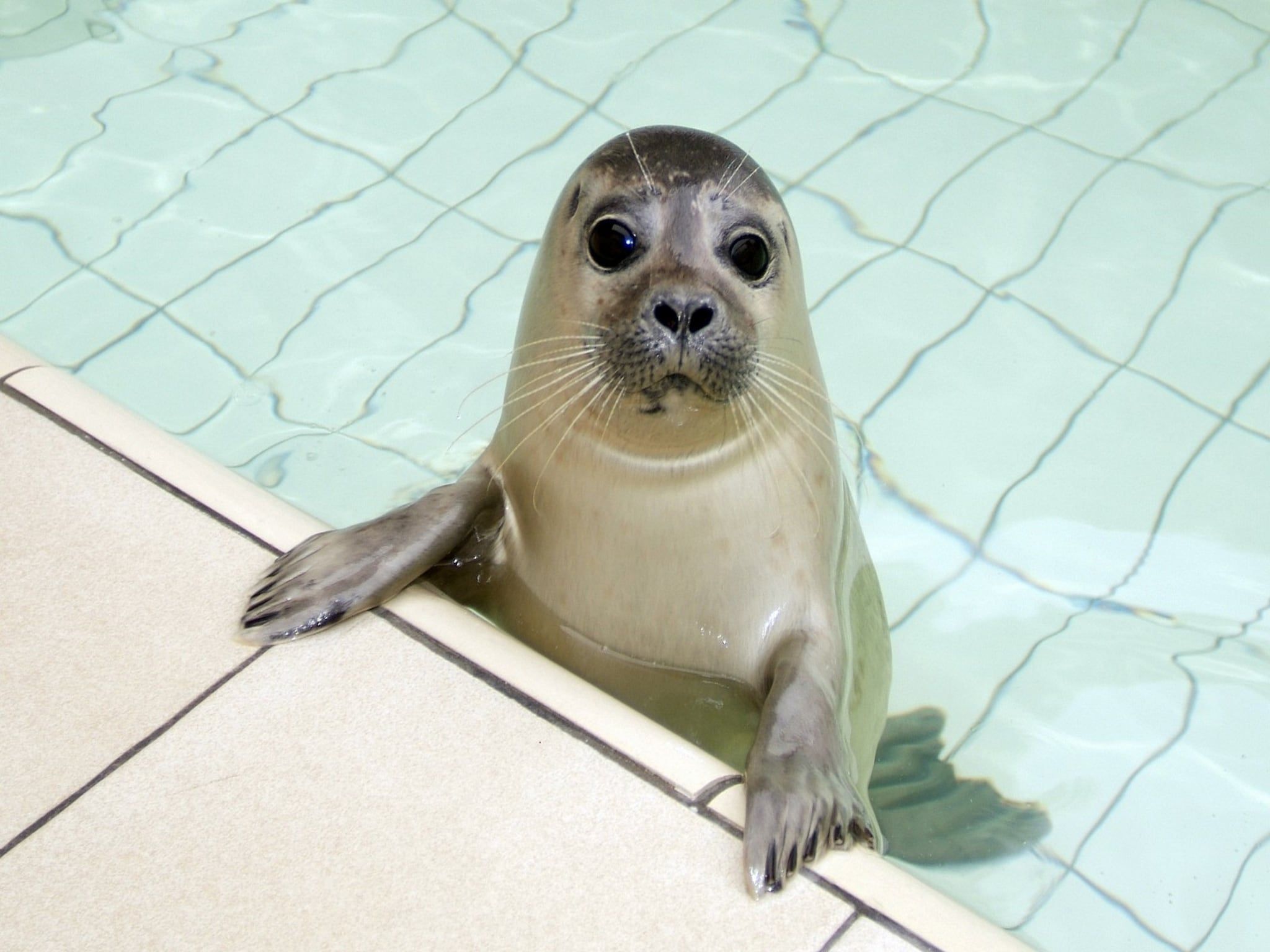 De omgeving van So What 39 in De Koog Texel
