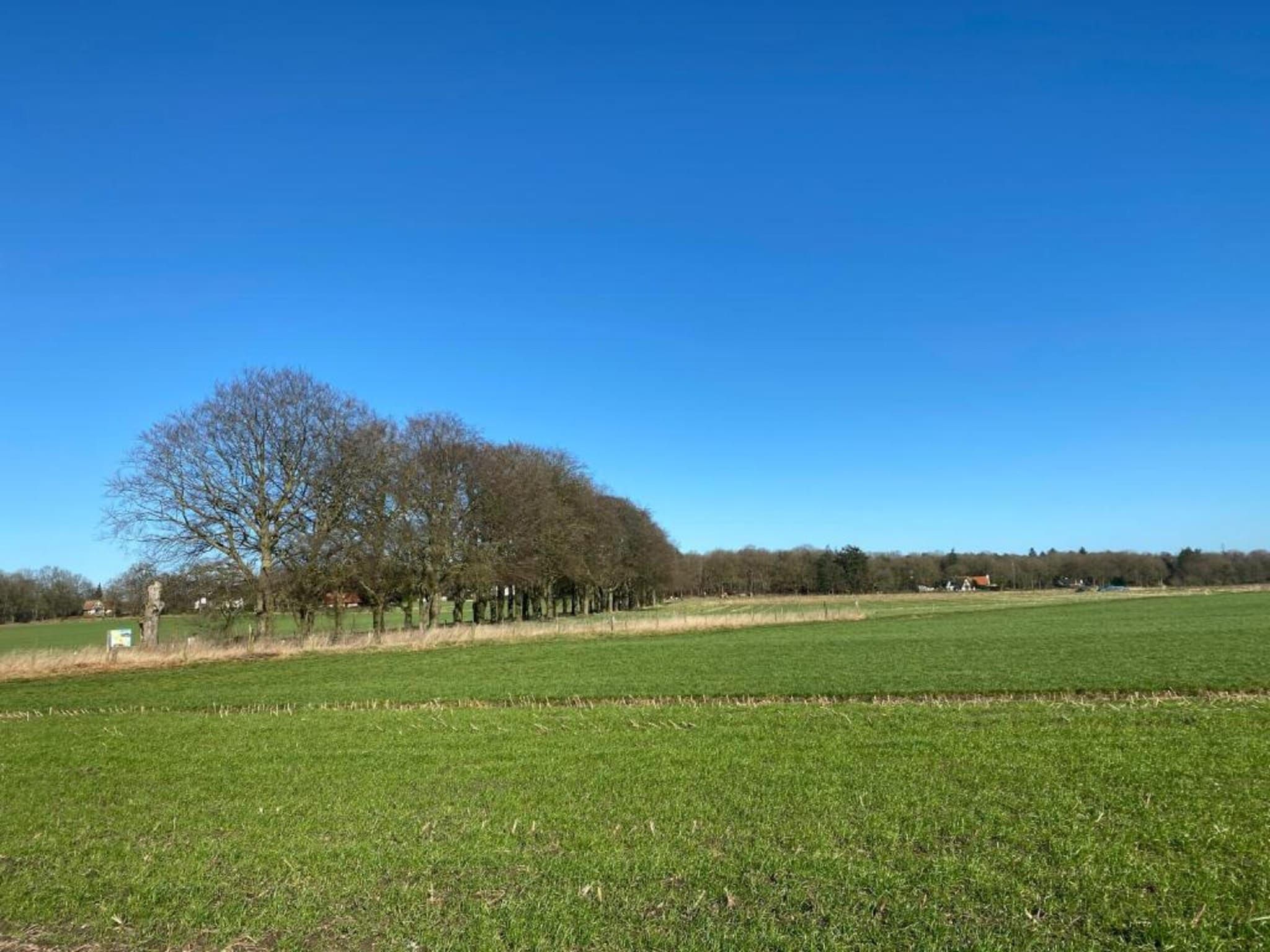 De omgeving van Buitenplaats Holten 7 in Rijssen