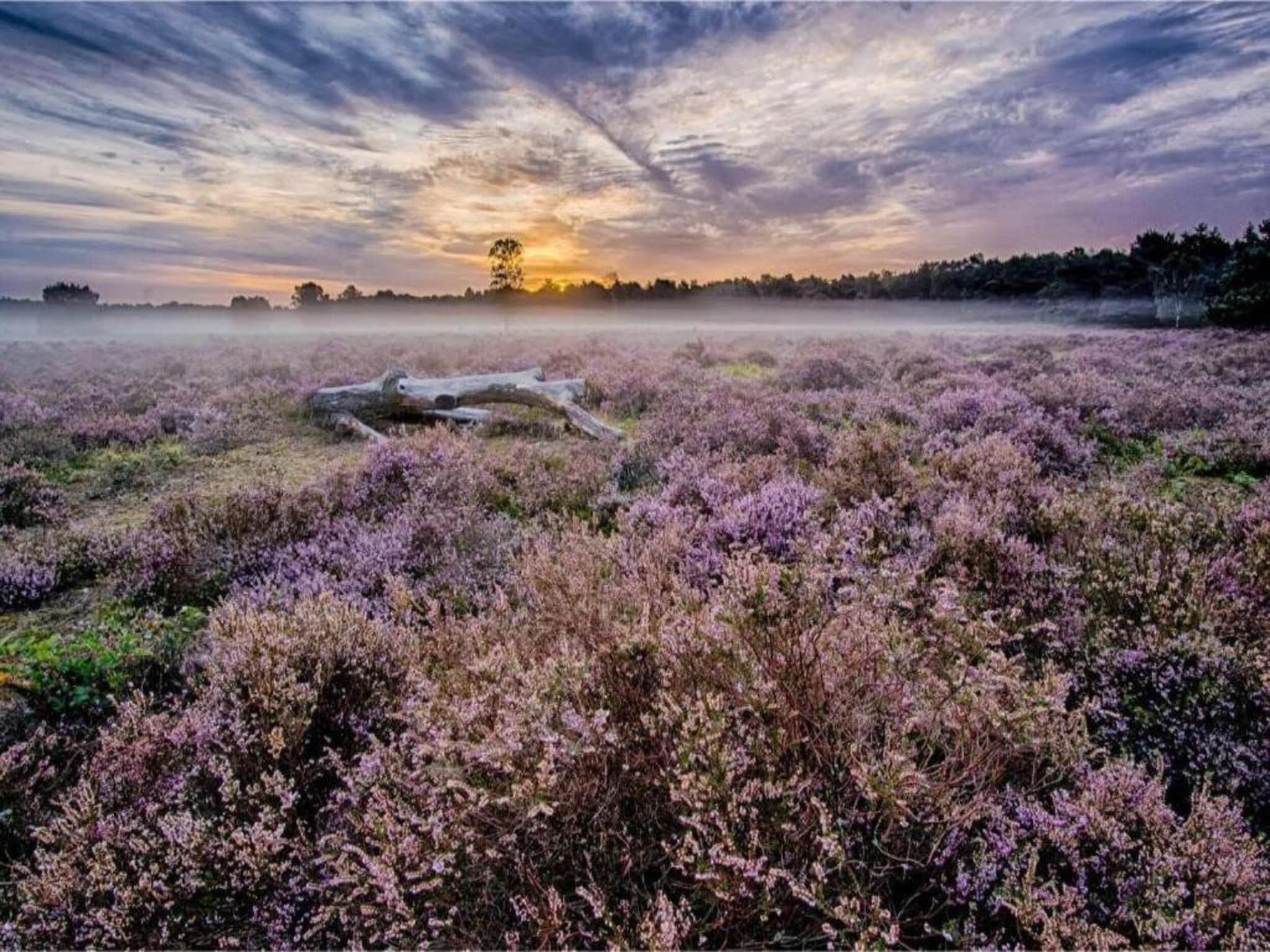De omgeving van Buitenplaats Holten 8 in Rijssen