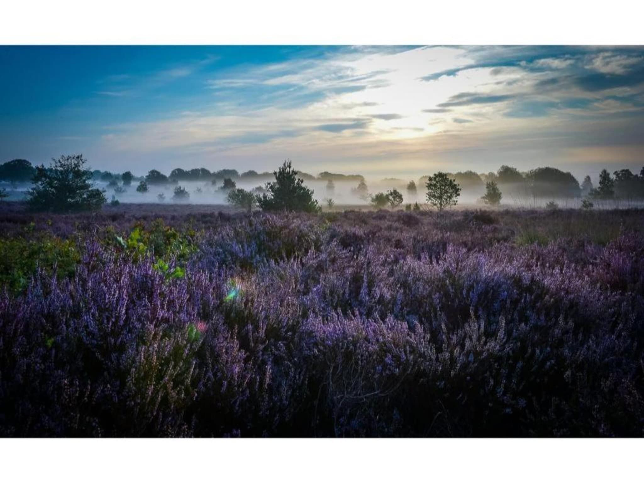 De omgeving van Buitenplaats Holten 8 in Rijssen