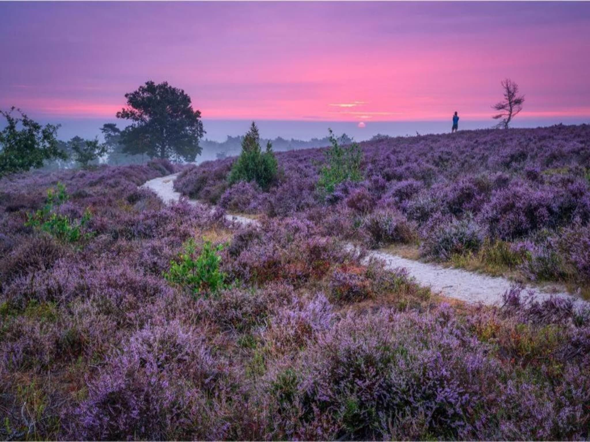 De omgeving van Buitenplaats Holten 10 in Rijssen