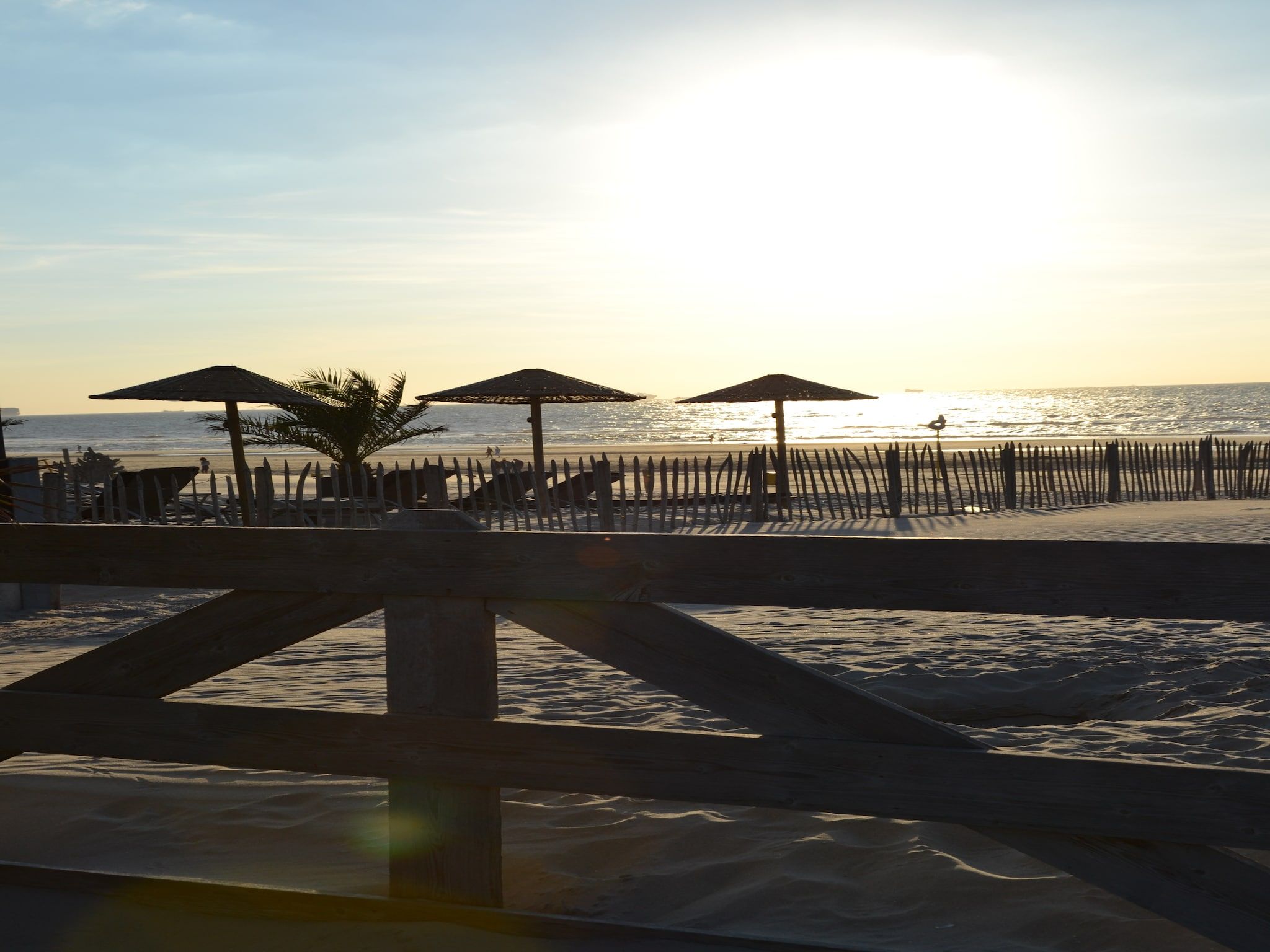 De tuin van Strandpark Vlugtenburg 14 in 's-Gravenzande