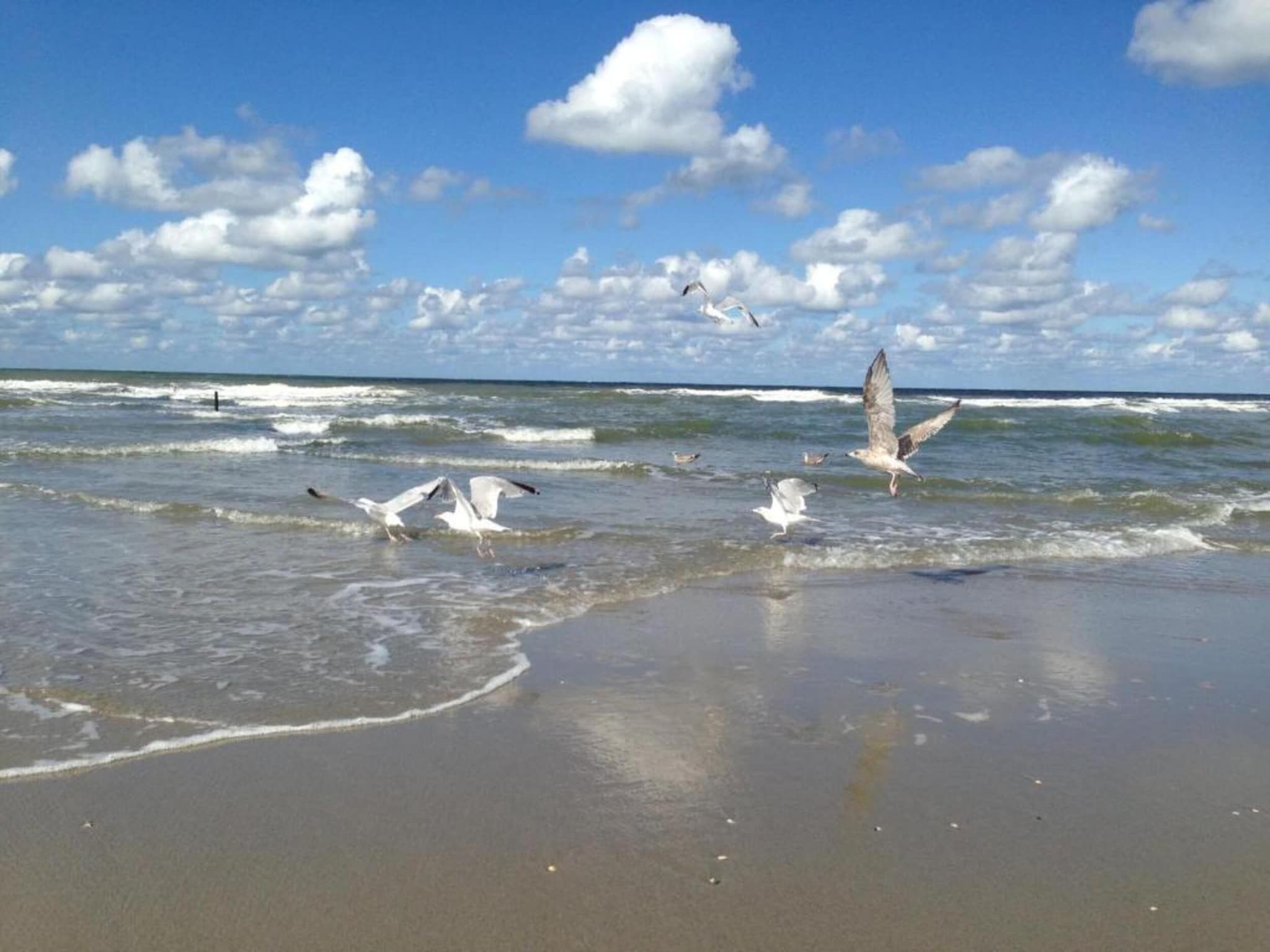 Strandpark Vlugtenburg 14 in 's-Gravenzande - Foto 33 van 40