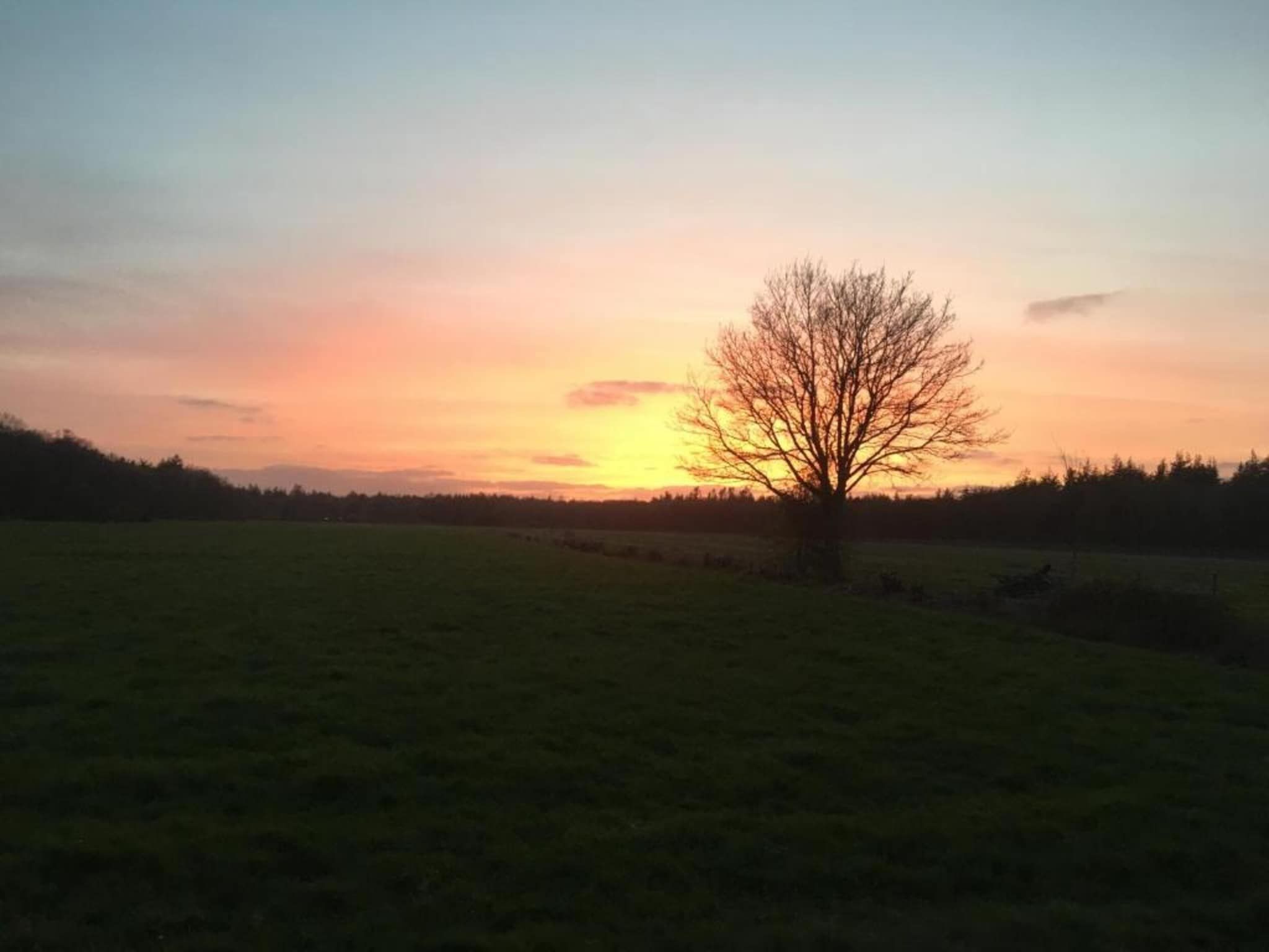 Friese Meren Villa's 13 in Delfstrahuizen - Foto 26 van 35