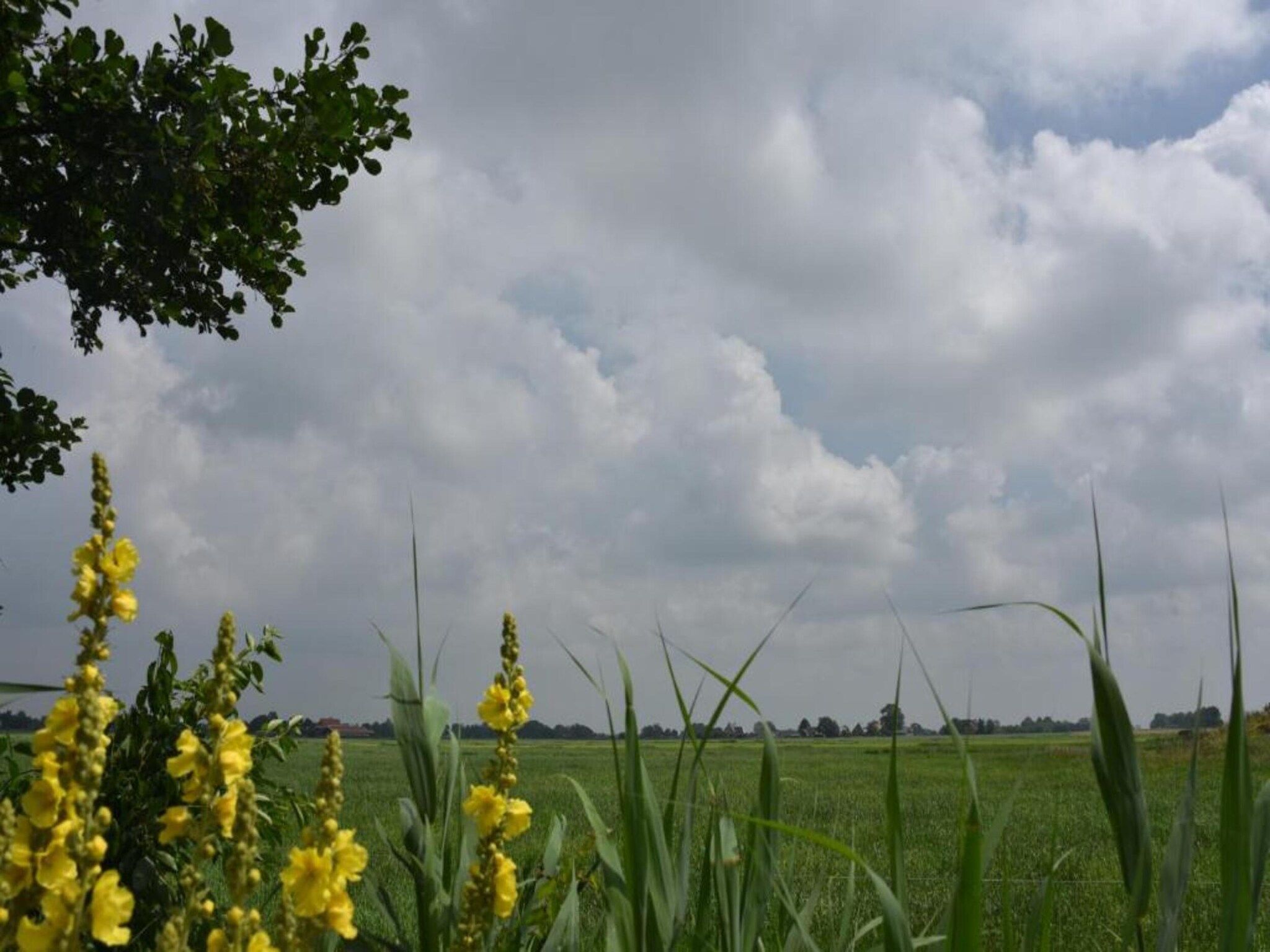 Friese Meren Villa's 15 in Delfstrahuizen - Foto 31 van 40