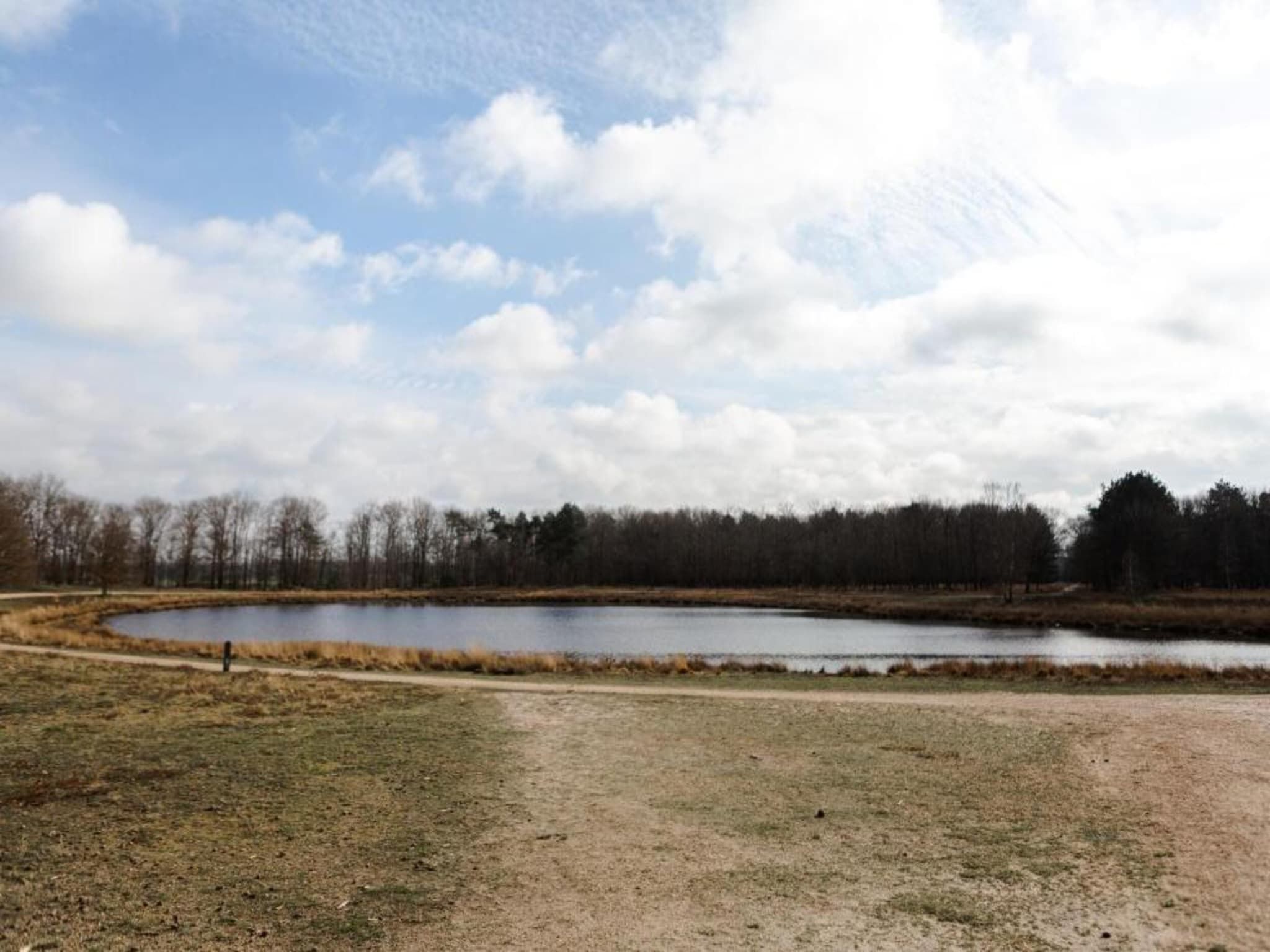 De omgeving van Bospark 't Wolfsven 9 in Mierlo