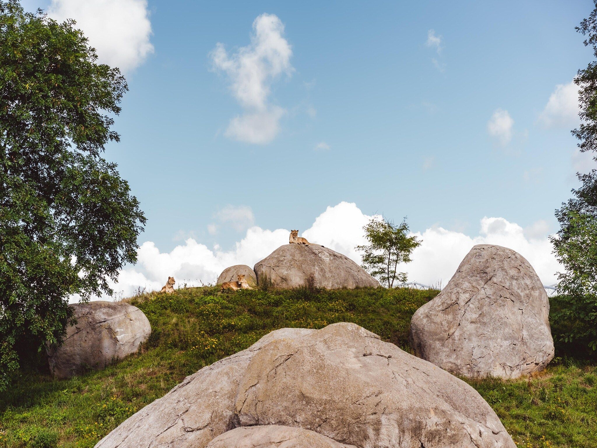 De omgeving van Hunzepark 12 in Gasselternijveen