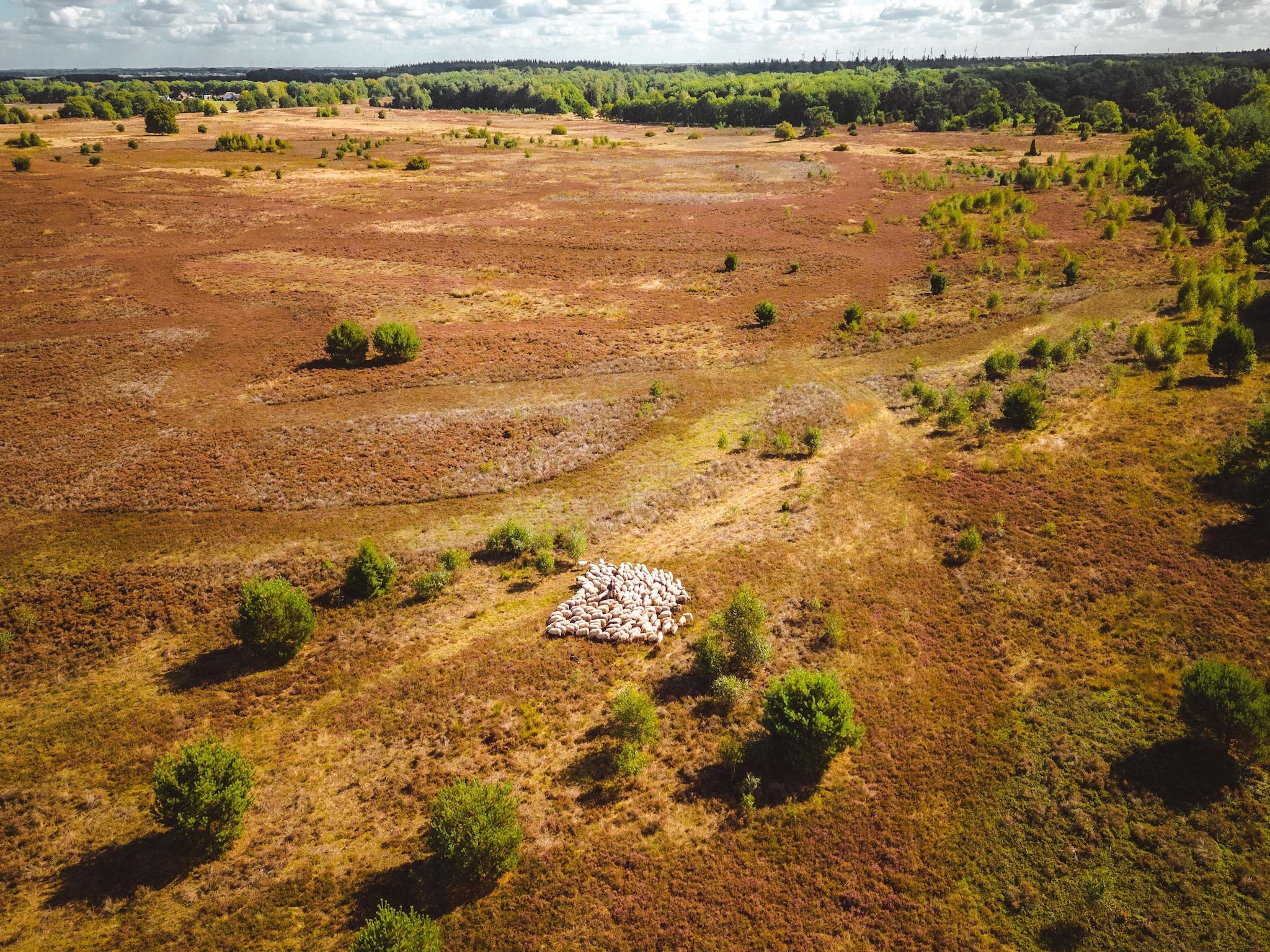De omgeving van Hunzepark 12 in Gasselternijveen