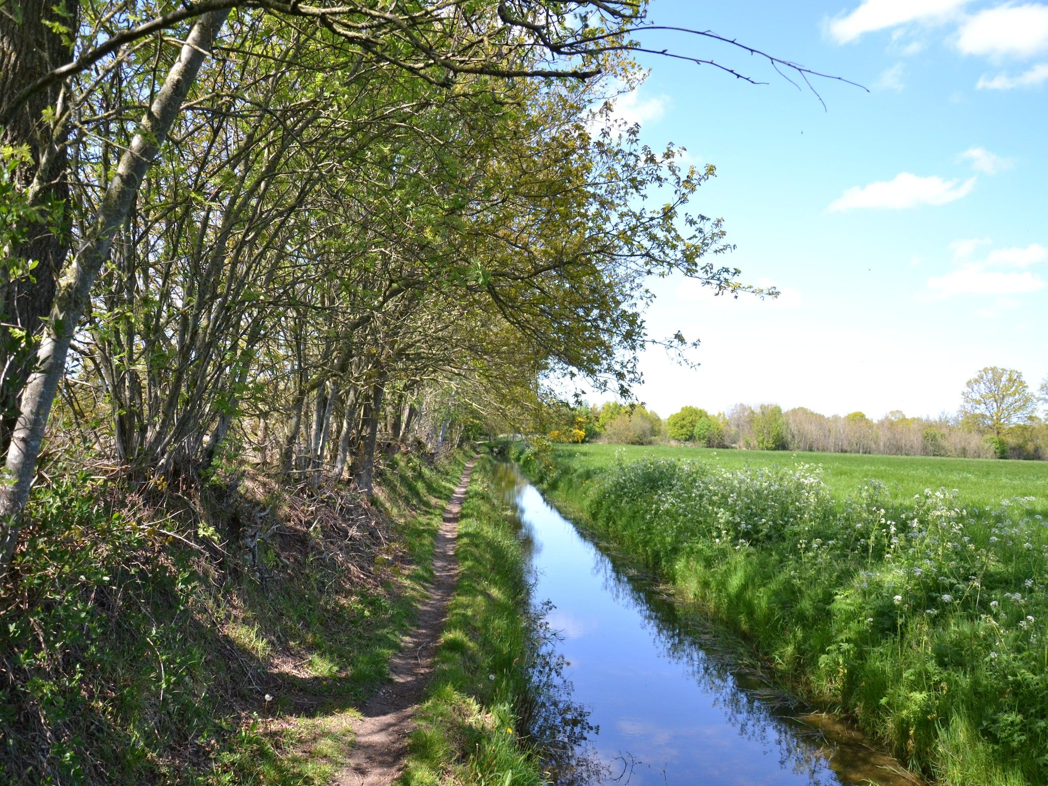 De Welp in Eastermar - Foto 31 van 40