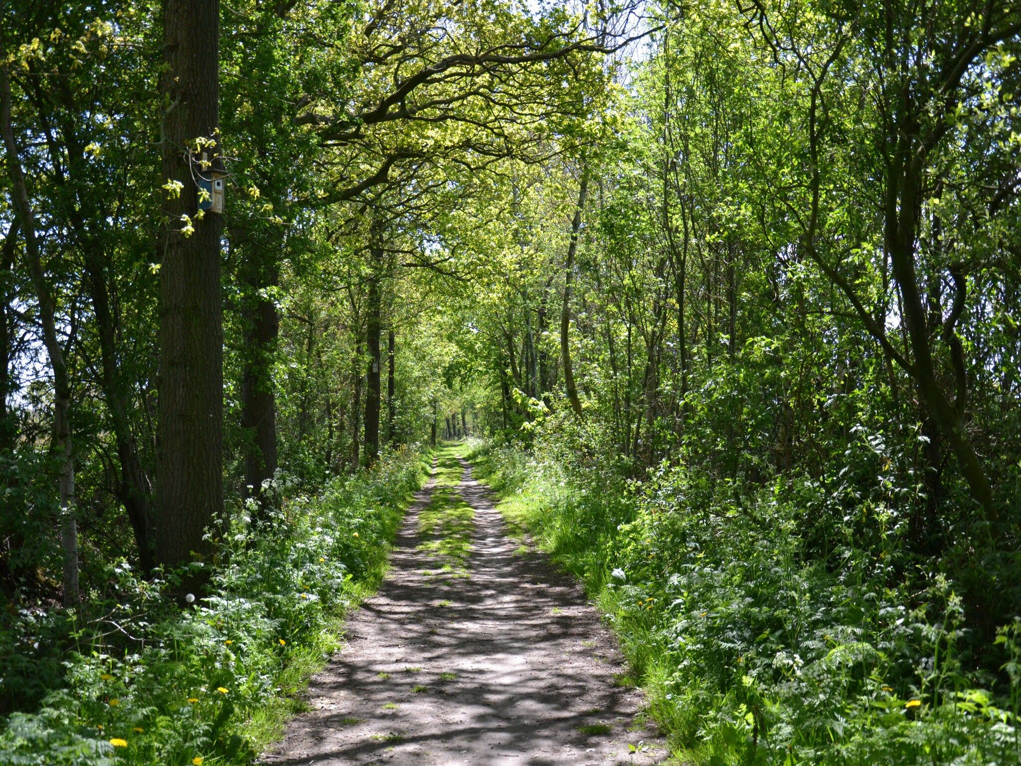 De Welp in Eastermar - Foto 30 van 40