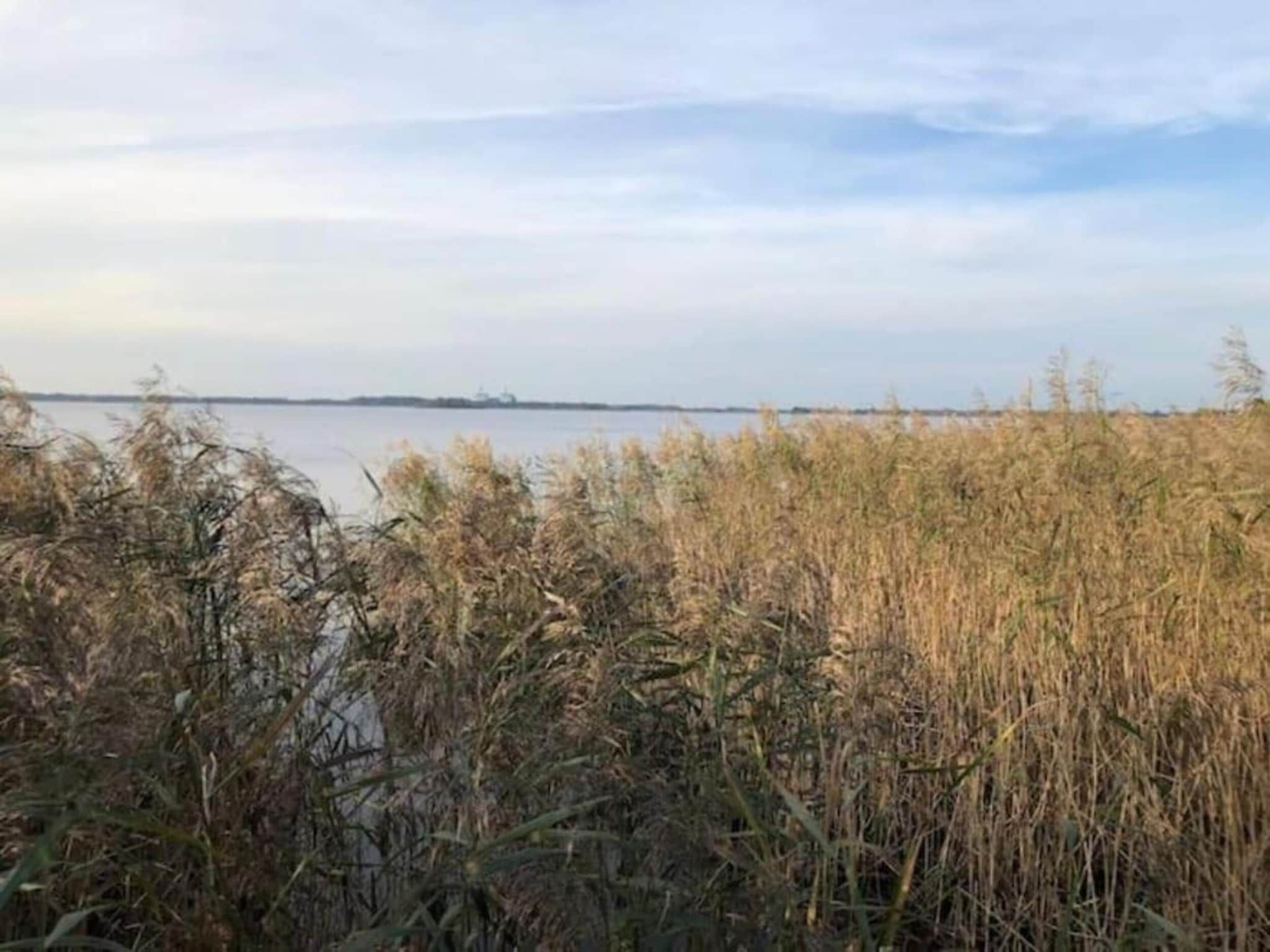 De omgeving van De Welp in Eastermar