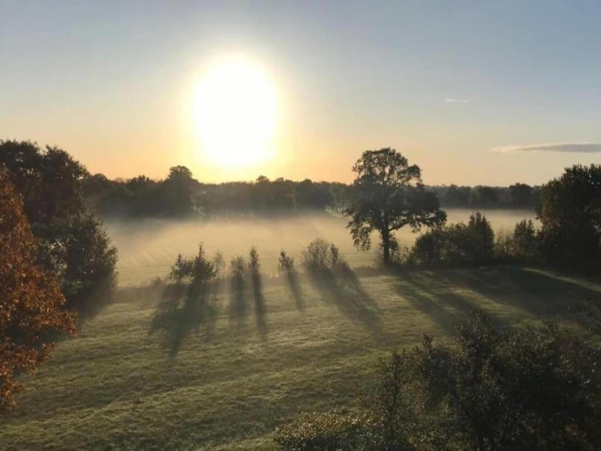 De omgeving van De Welp in Eastermar