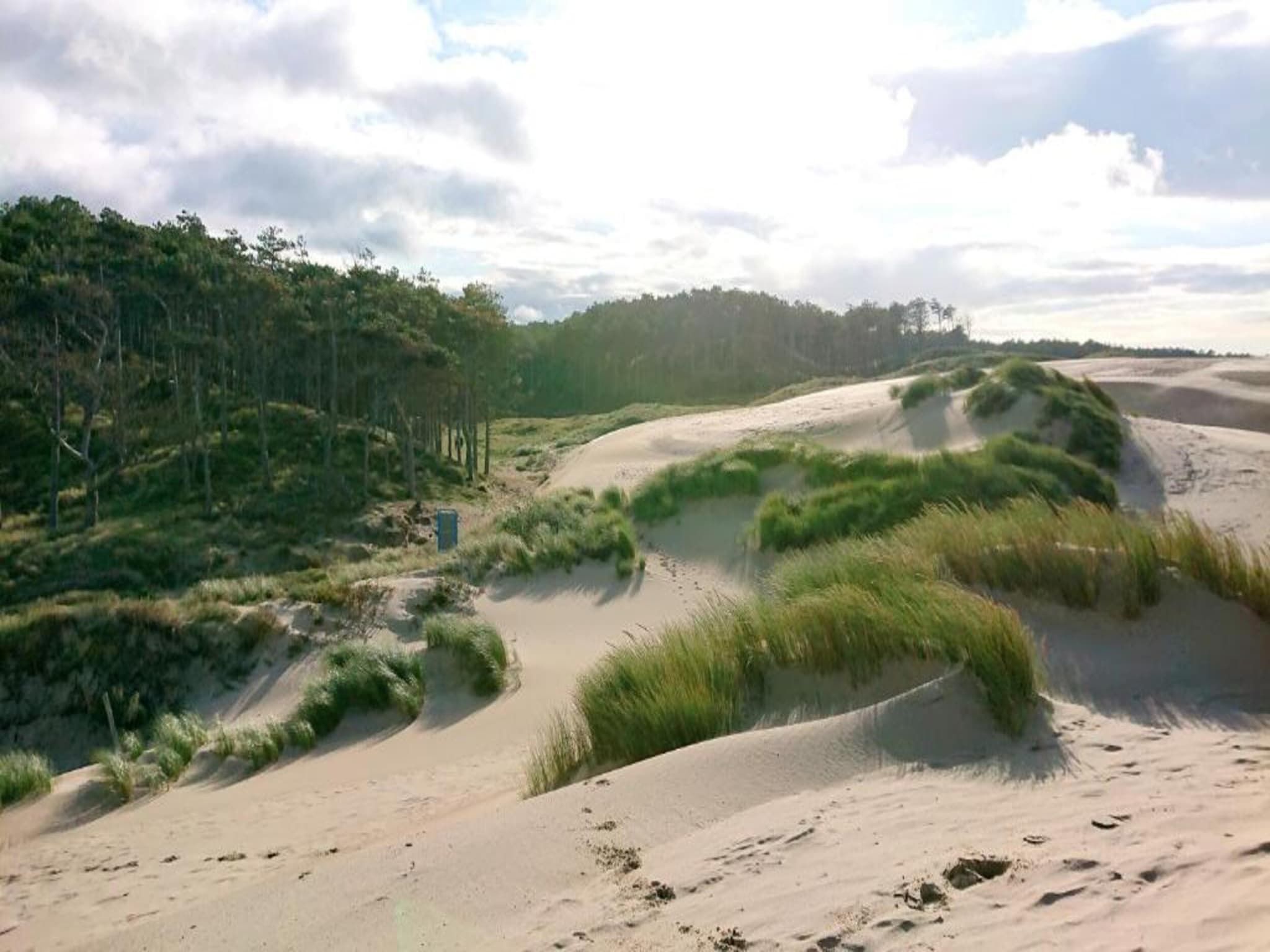 De omgeving van Oosterpark 76 - Oostkapelle in Oostkapelle