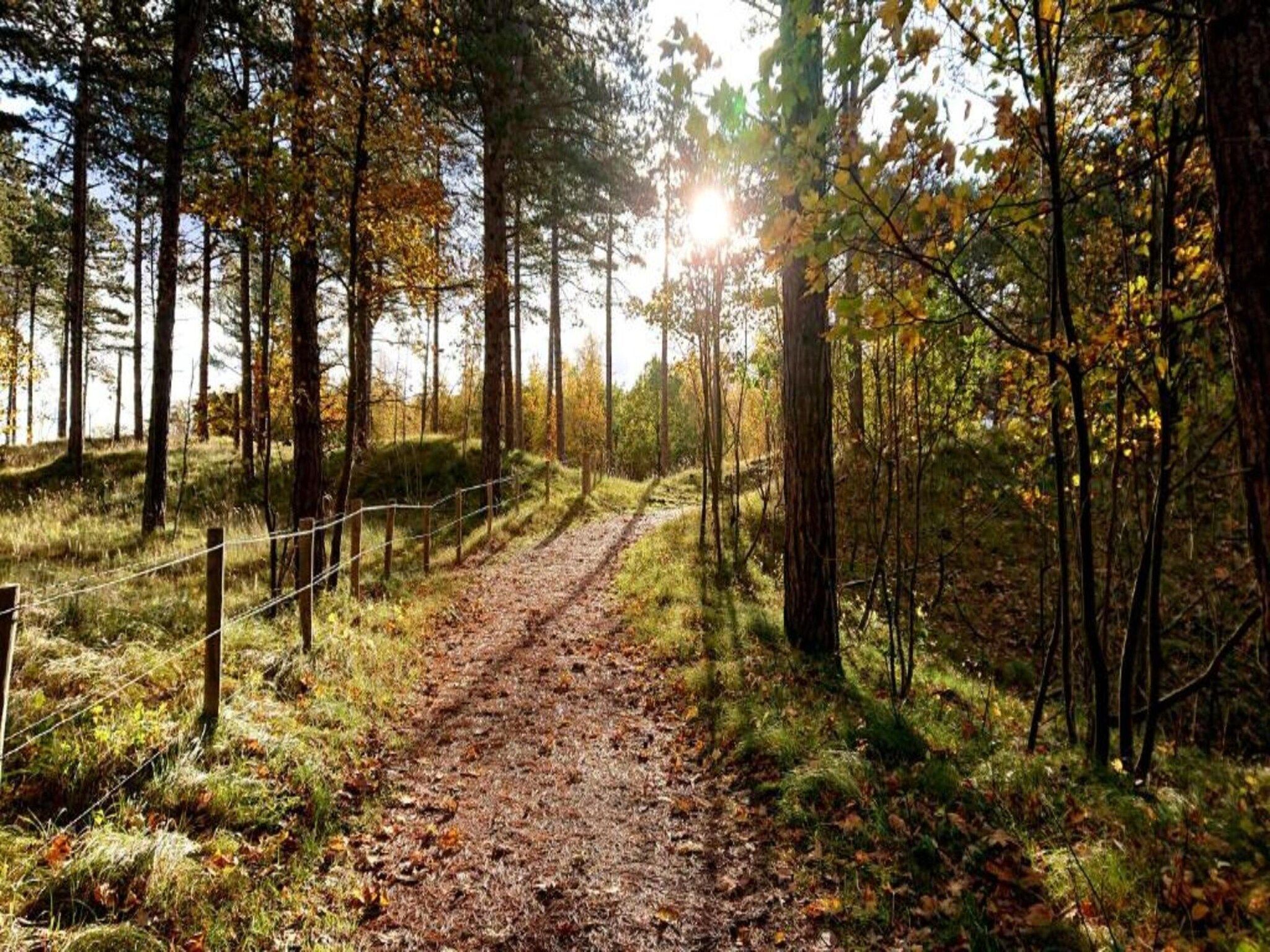 De omgeving van Oosterpark 76 - Oostkapelle in Oostkapelle