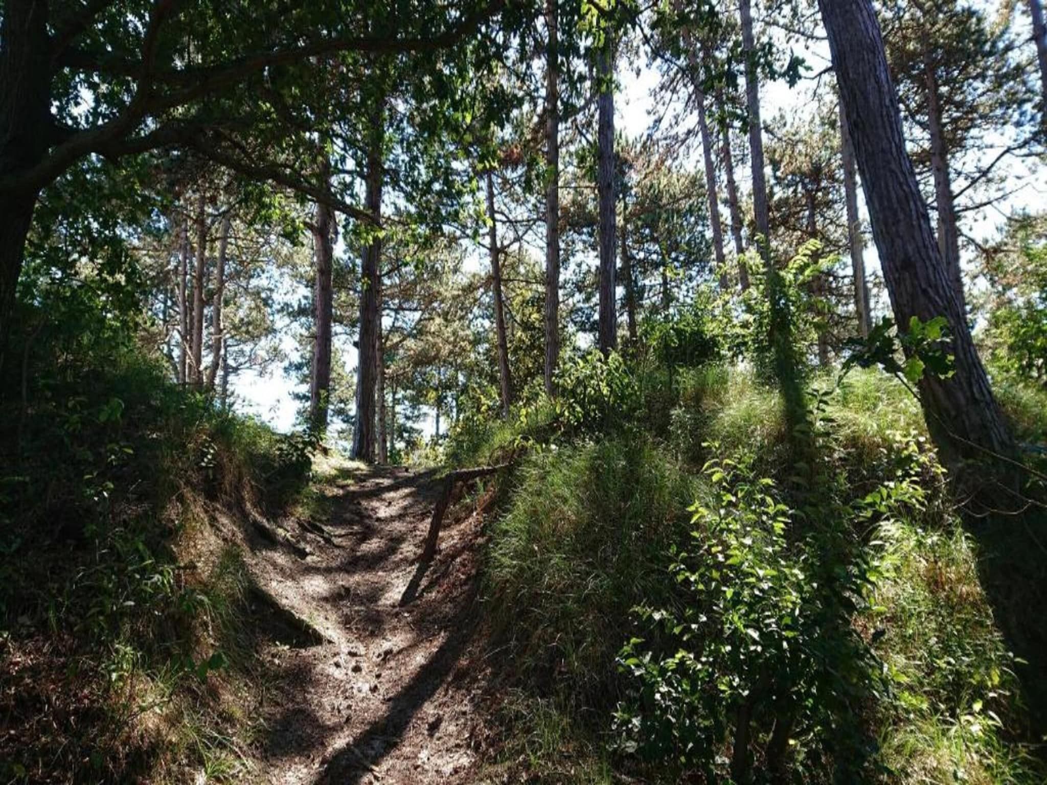 De omgeving van Oosterpark 76 - Oostkapelle in Oostkapelle