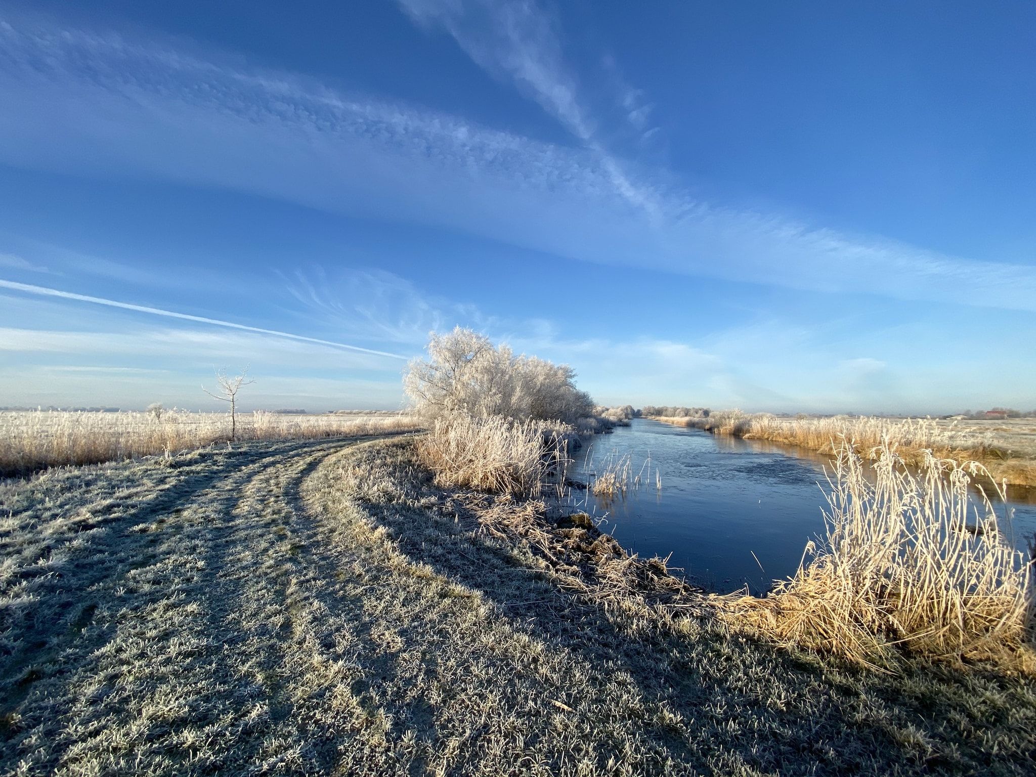 Chalet Doutzen in De Veenhoop - Foto 17 van 40