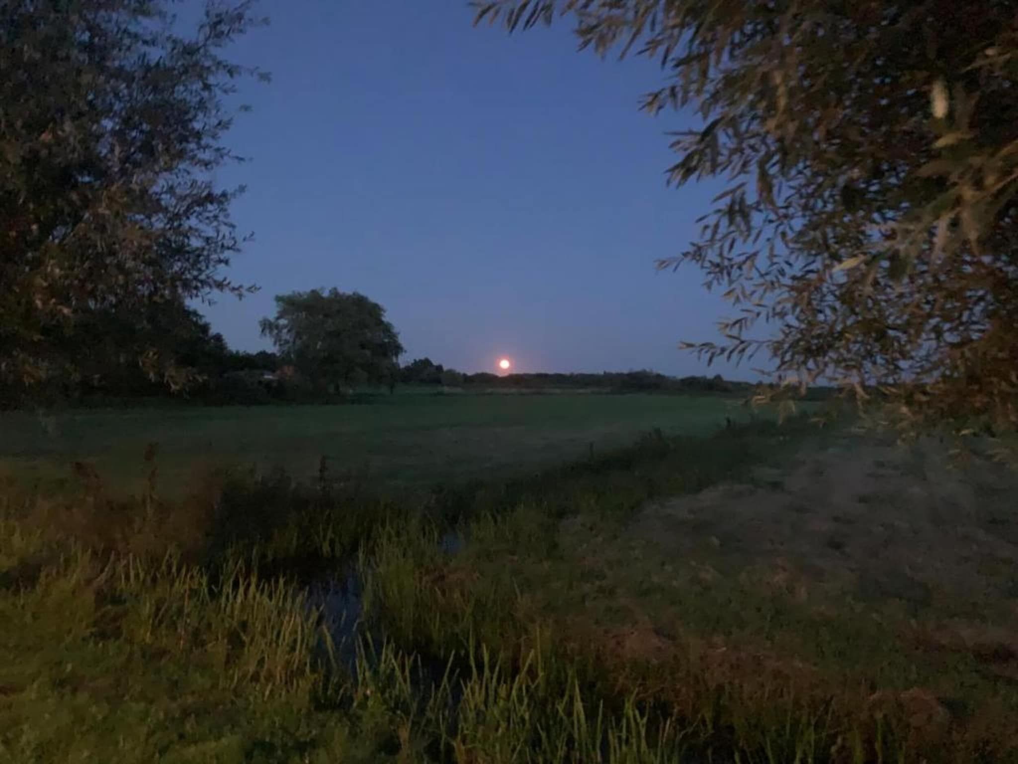 Chalet Doutzen in De Veenhoop - Foto 21 van 40