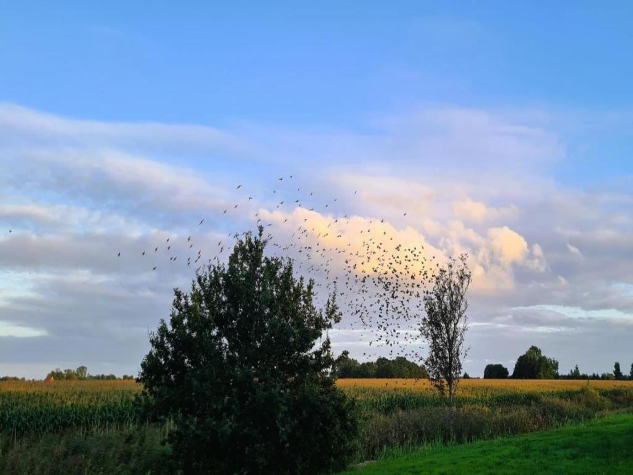 Chalet Doutzen in De Veenhoop - Foto 22 van 40