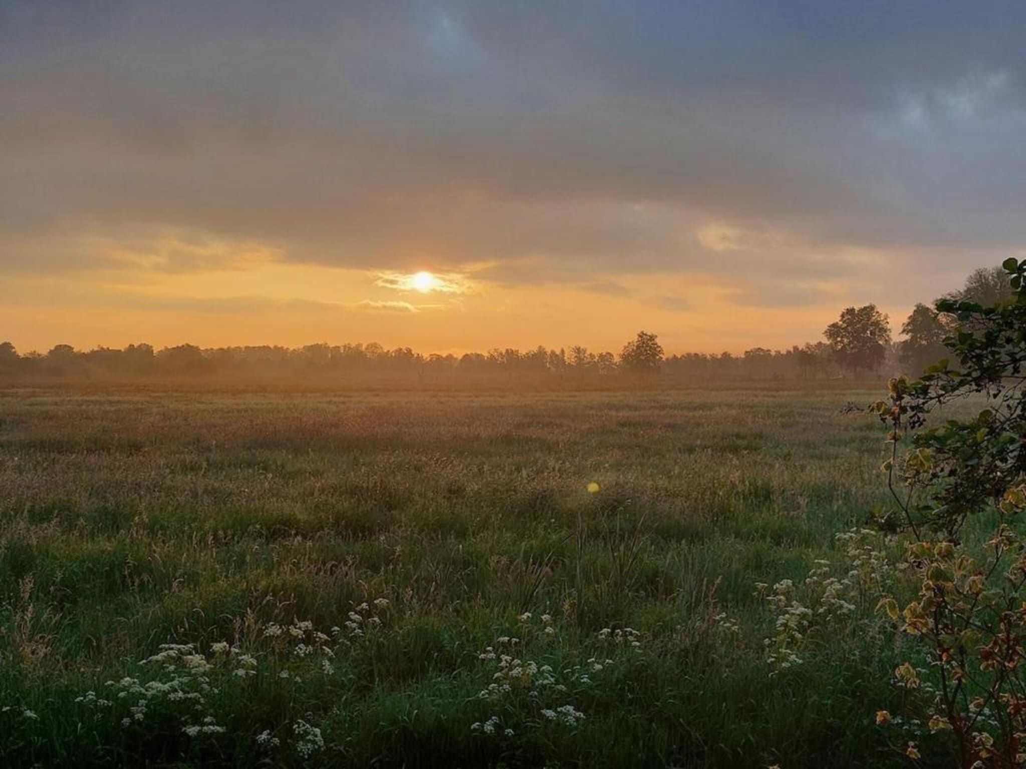 Chalet Doutzen in De Veenhoop - Foto 26 van 40
