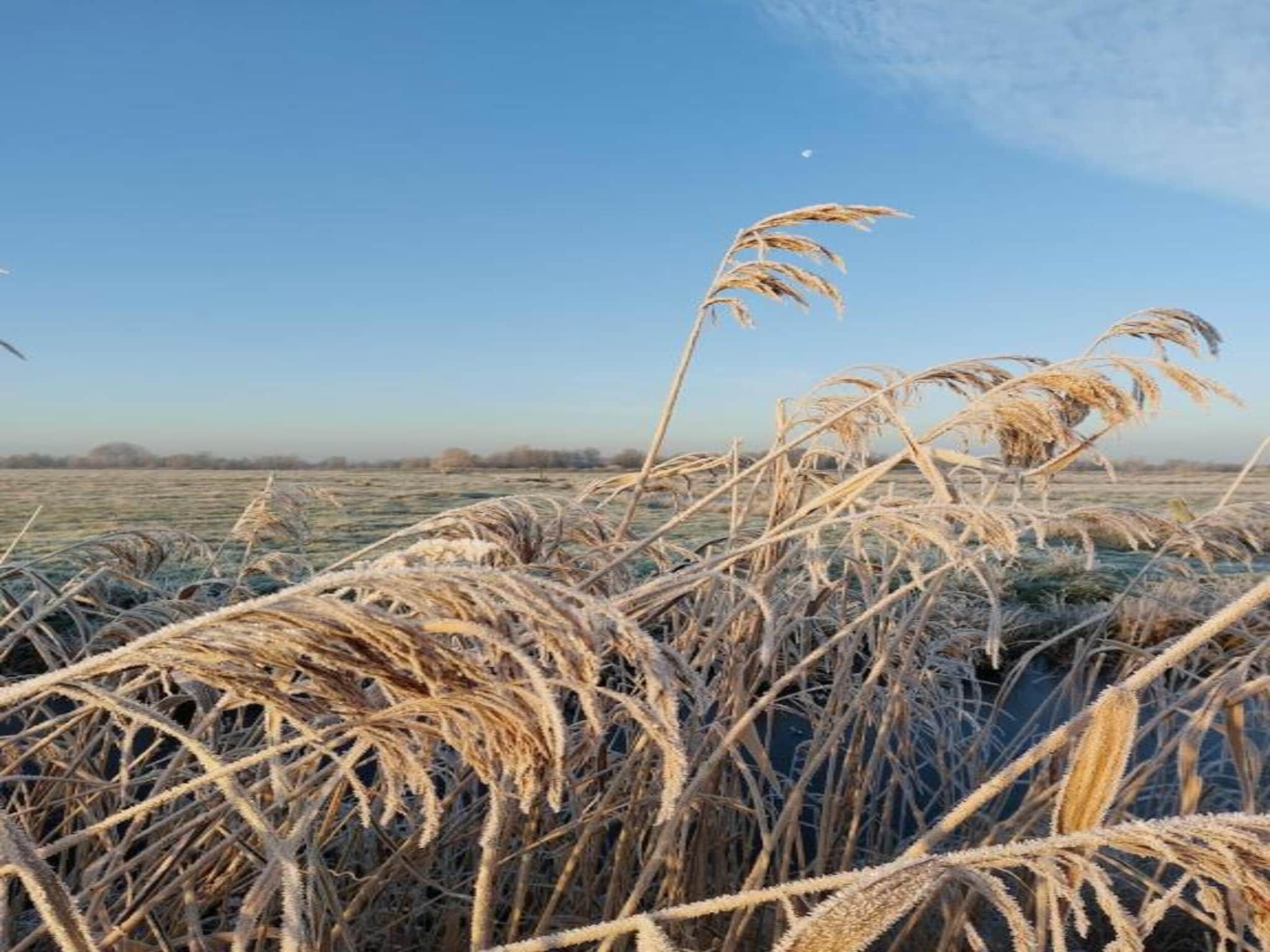Chalet Doutzen in De Veenhoop - Foto 30 van 40