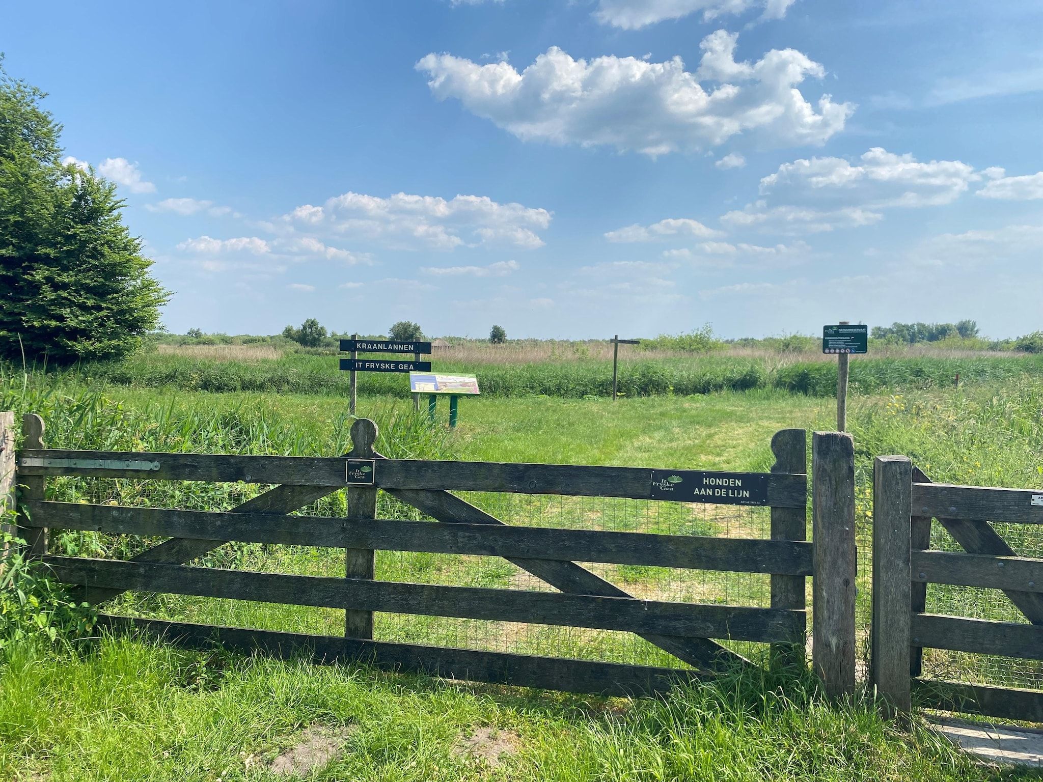 De omgeving van Chalet Eke in De Veenhoop