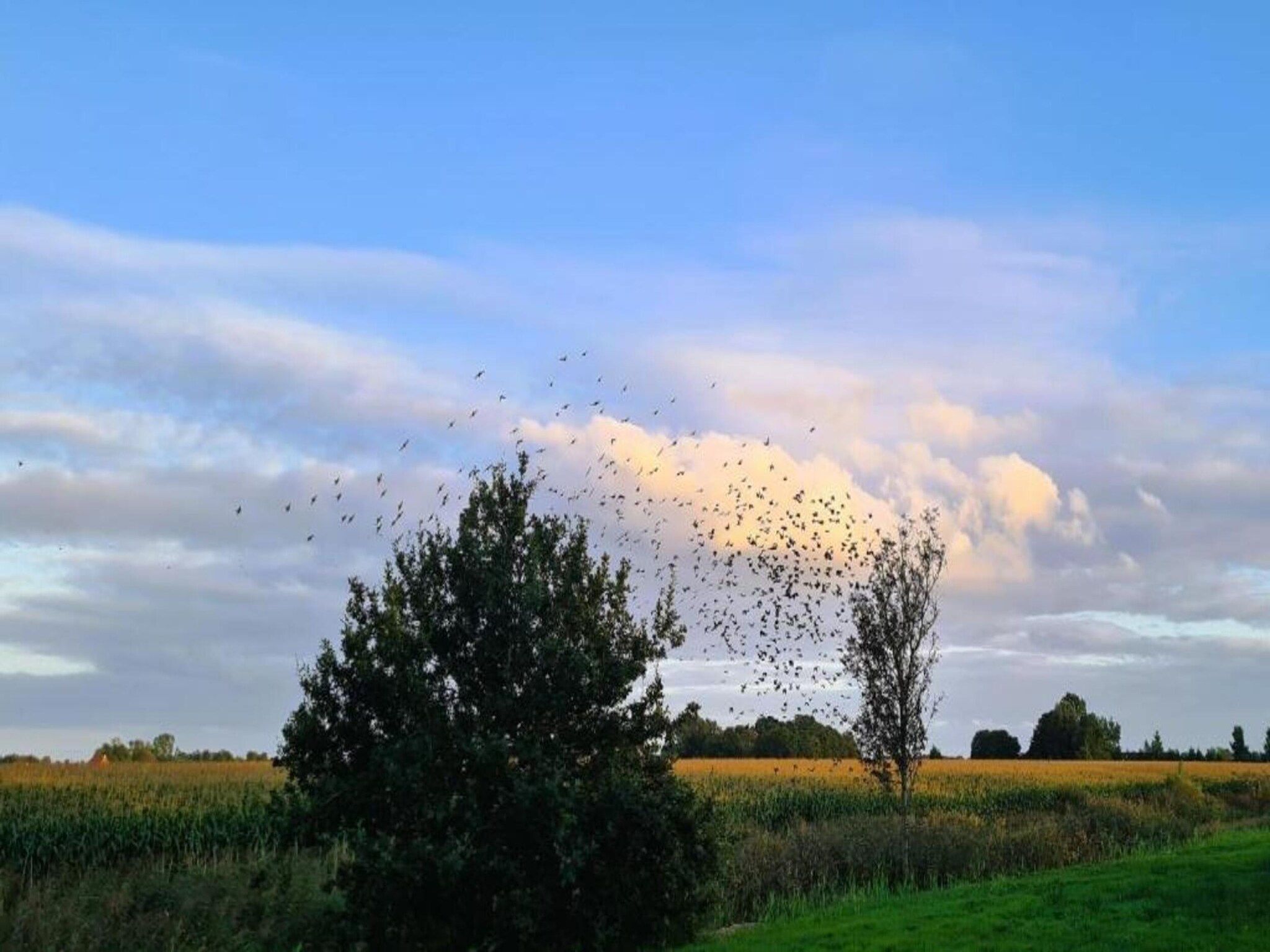 Chalet Eke in De Veenhoop - Foto 30 van 40