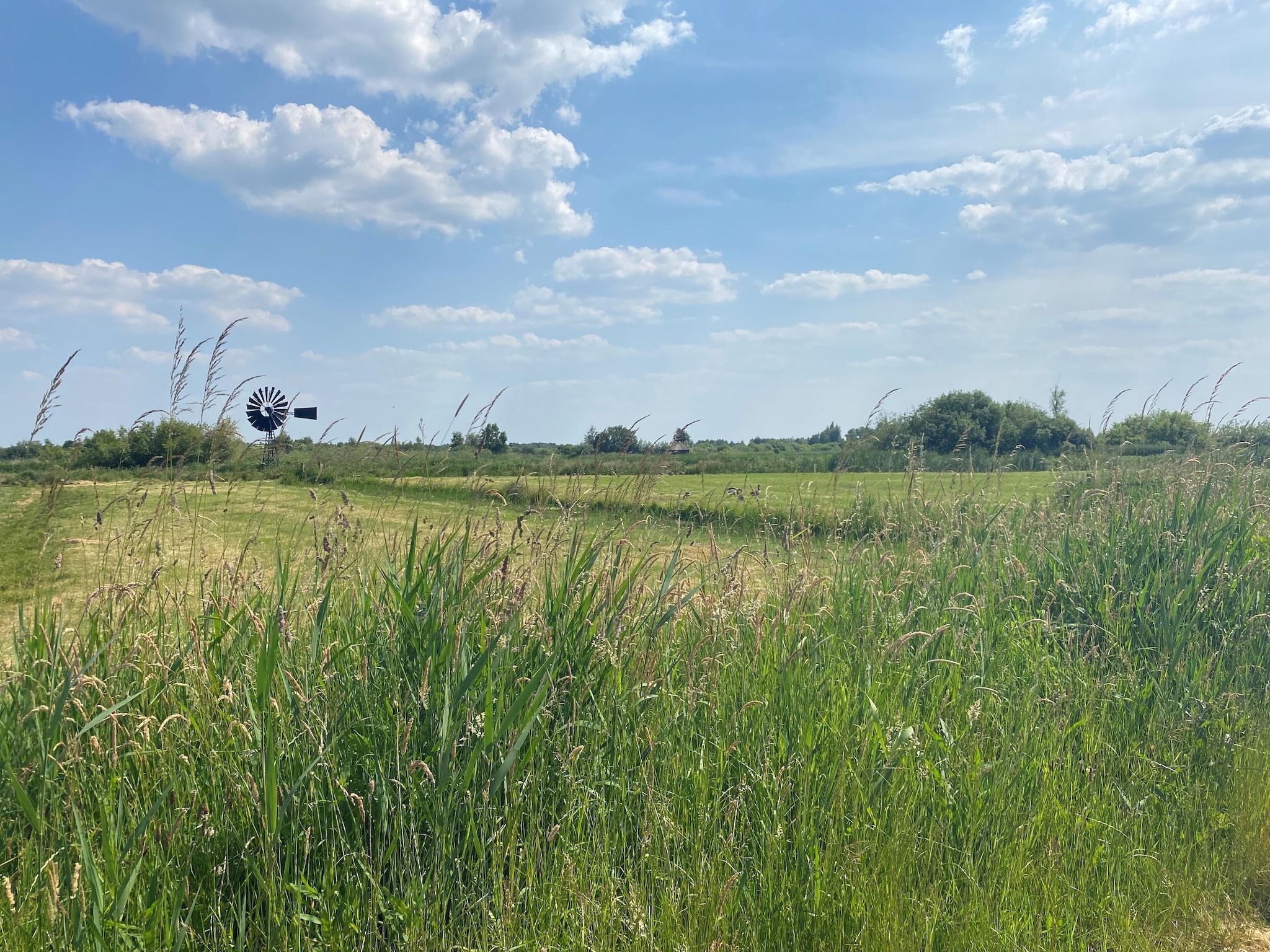 Chalet Jildau in De Veenhoop - Foto 22 van 40