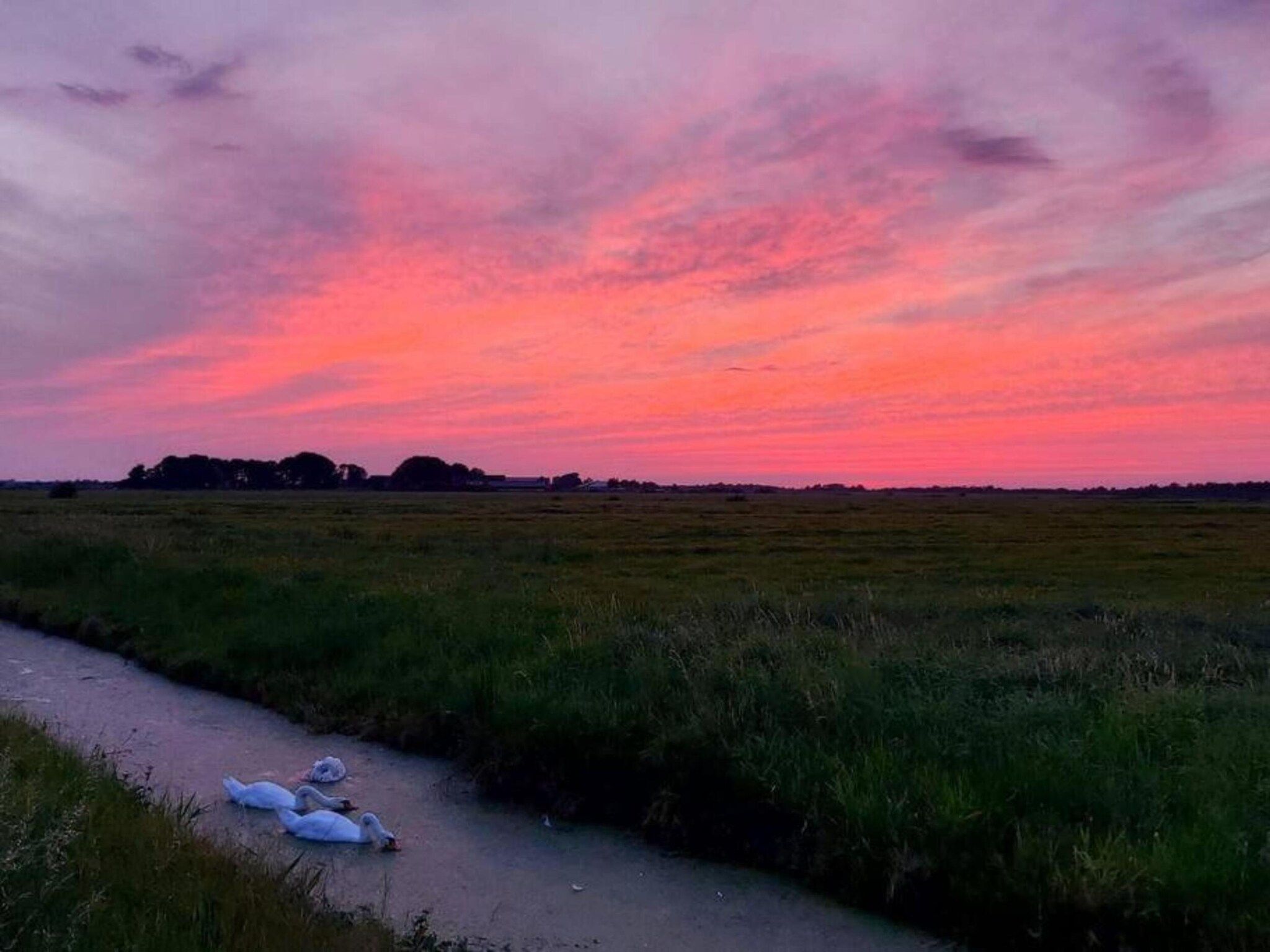 Chalet Jildau in De Veenhoop - Foto 39 van 40