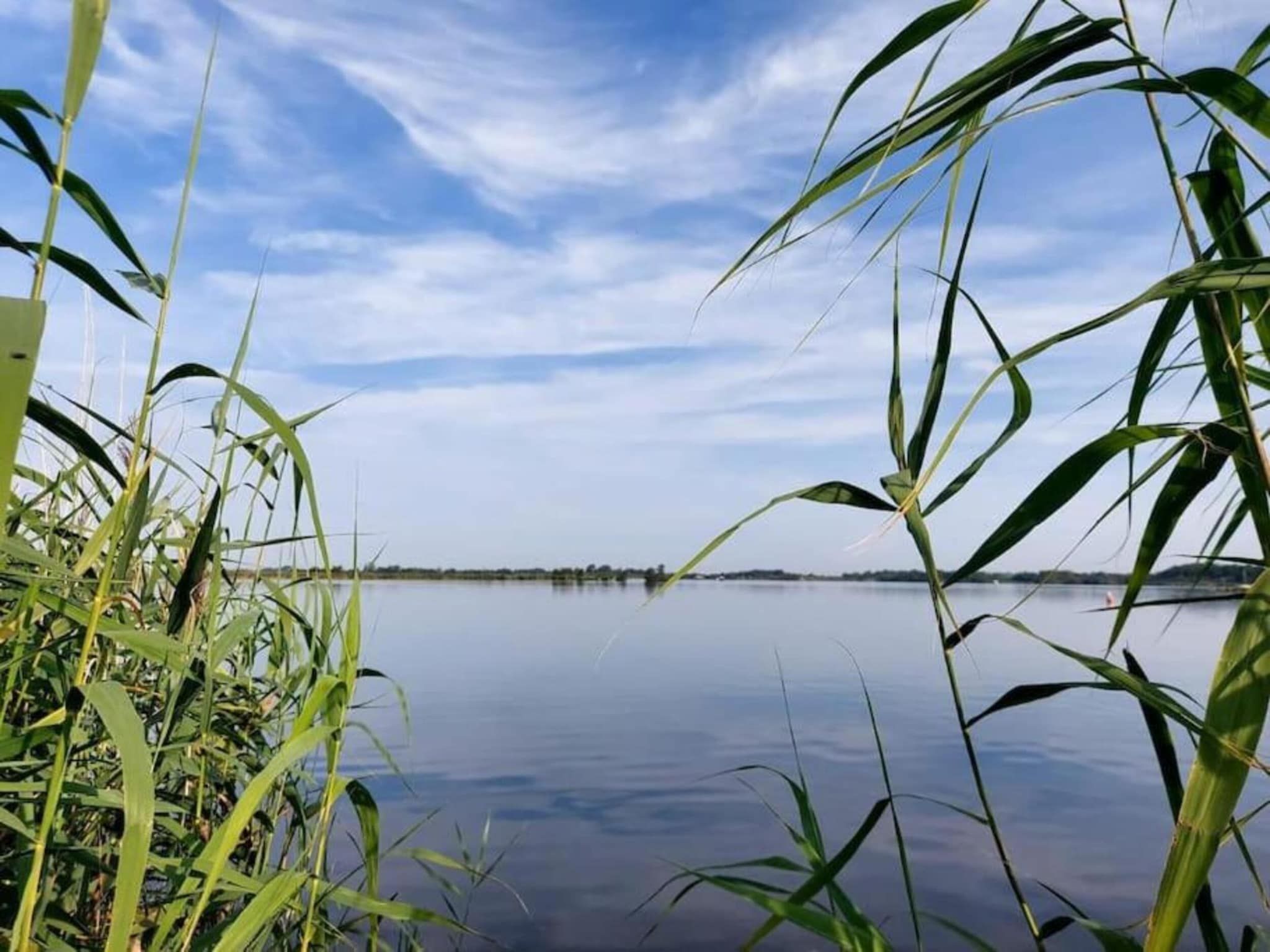 Chalet Jildau in De Veenhoop - Foto 36 van 40