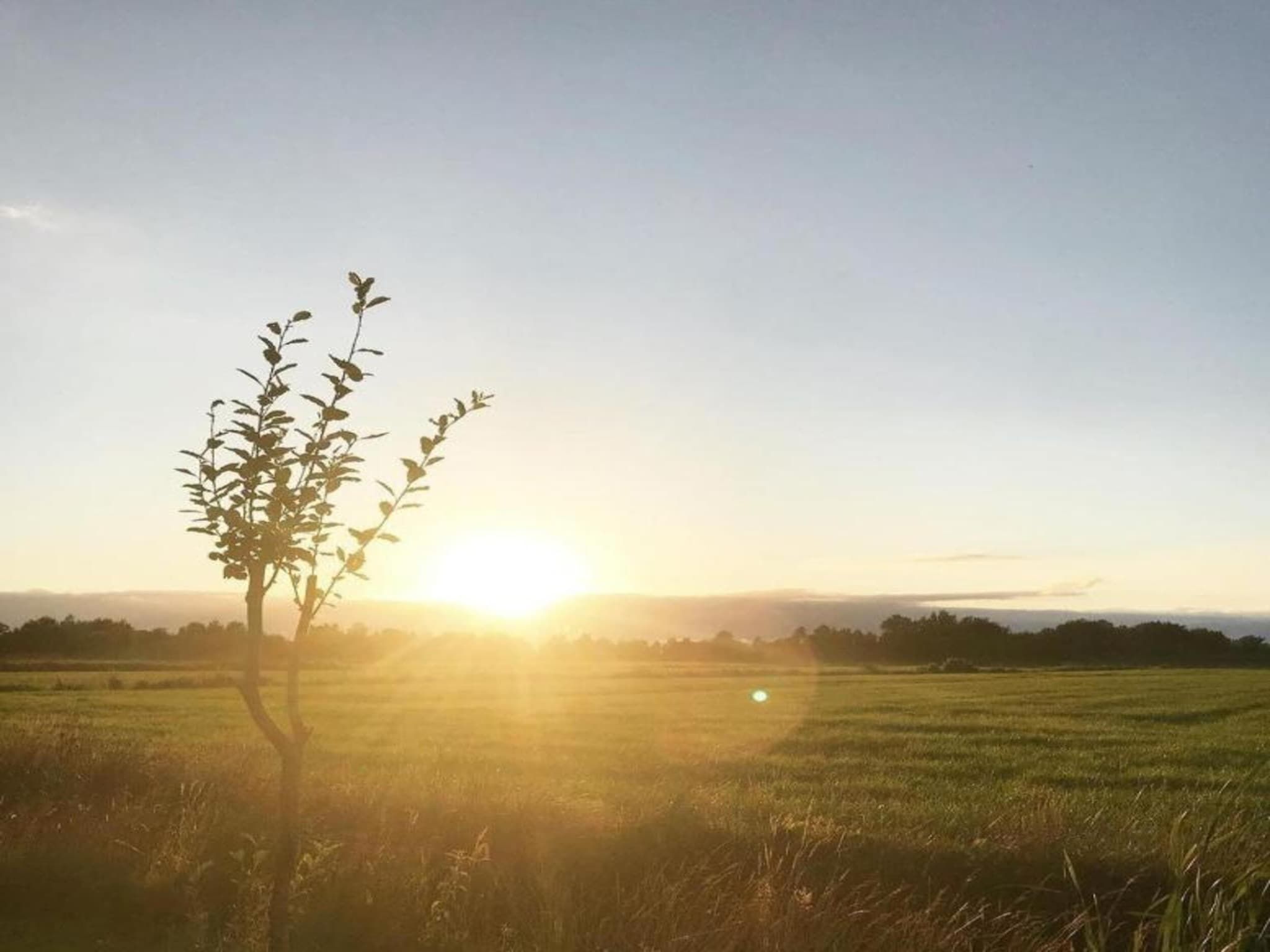 Chalet Jildau in De Veenhoop - Foto 34 van 40