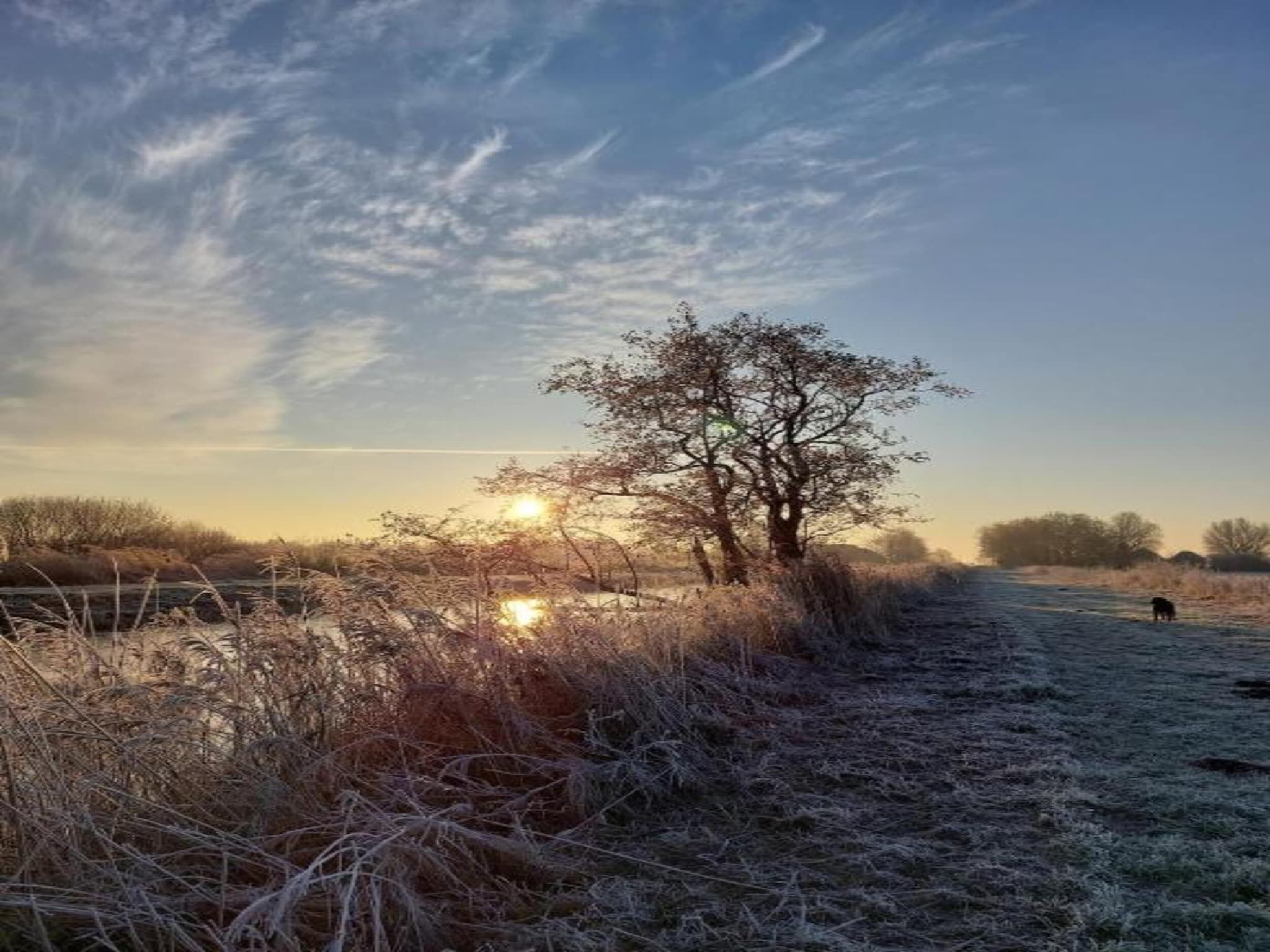 Chalet Jildau in De Veenhoop - Foto 33 van 40