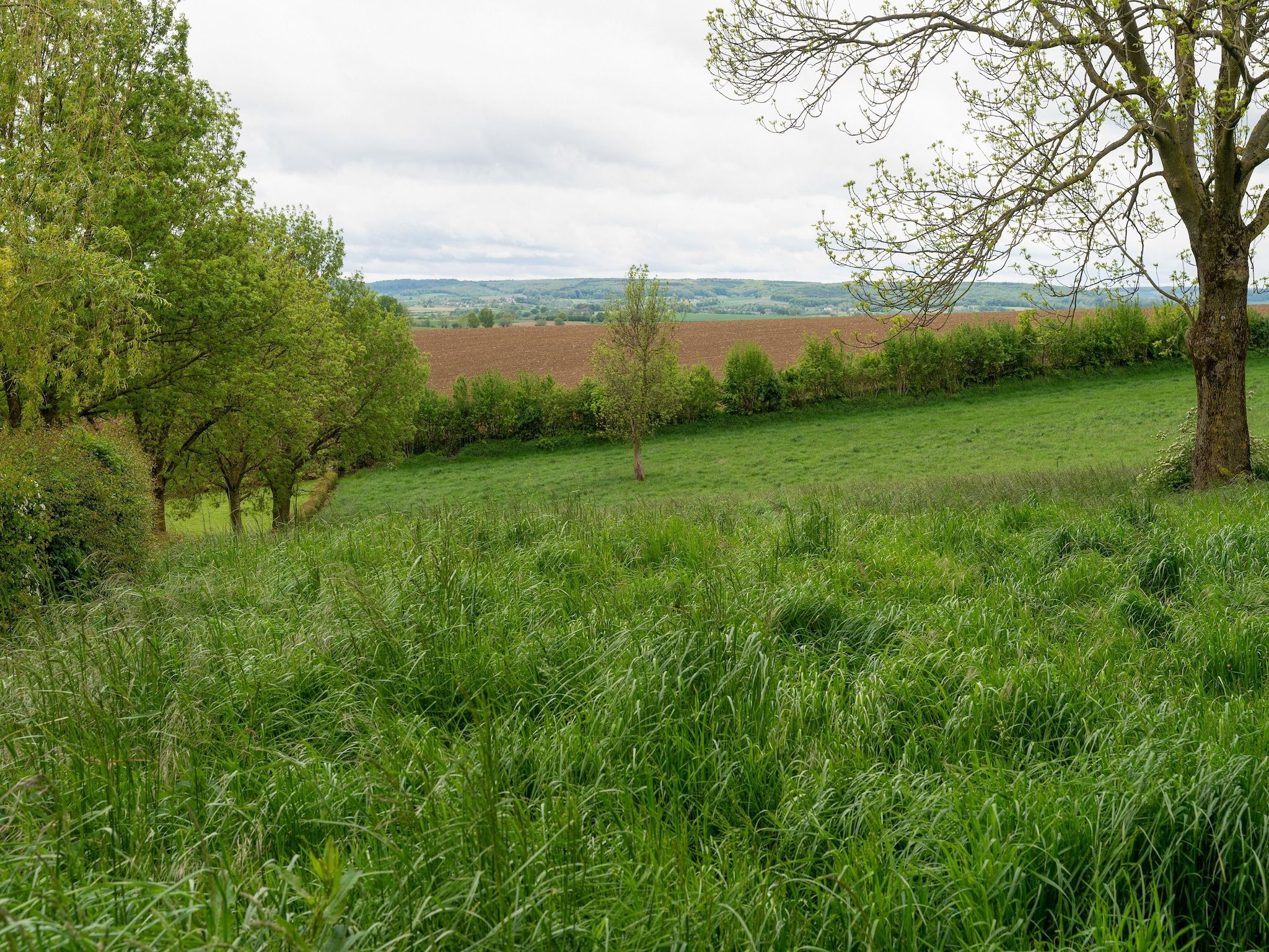 De omgeving van Valleyview Cottages - NR14 in Voerendaal