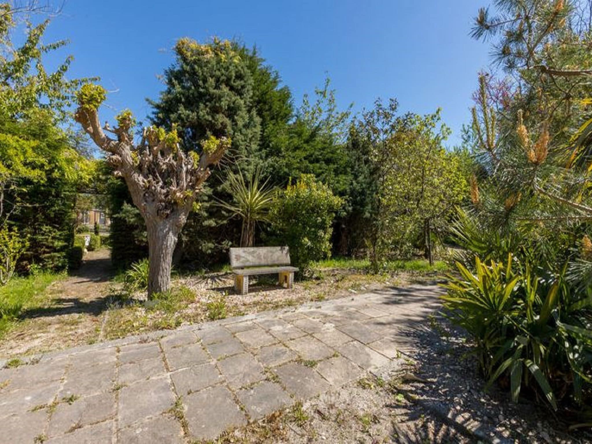 Fort den Haak - Chalet 1 t/m 10 huisdiervrij in Vrouwenpolder - Foto 21 van 40