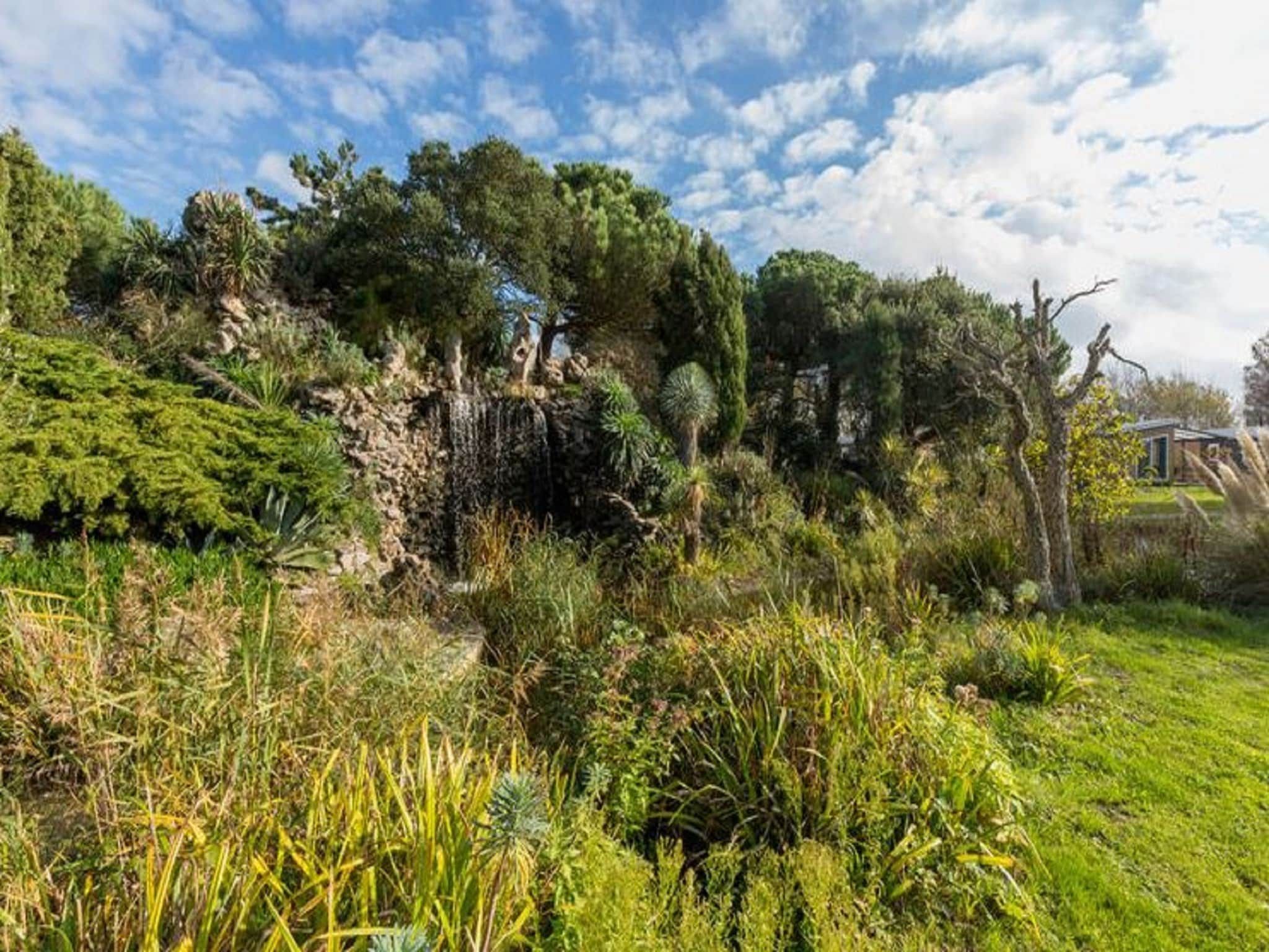 De tuin van Fort den Haak - Chalet 1 t/m 10 huisdiervrij in Vrouwenpolder