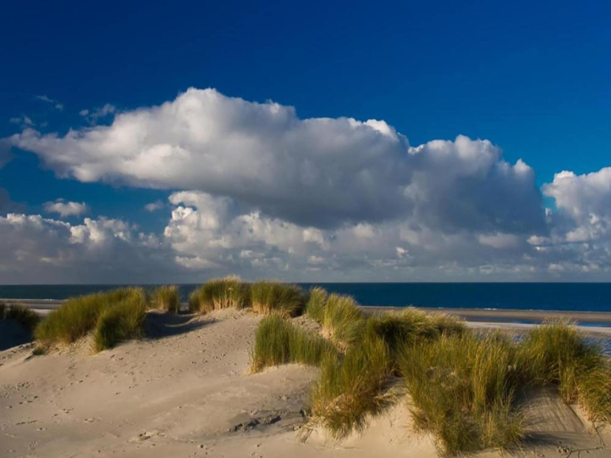 De omgeving van Fort den Haak - Chalet 1 t/m 10 huisdiervrij in Vrouwenpolder