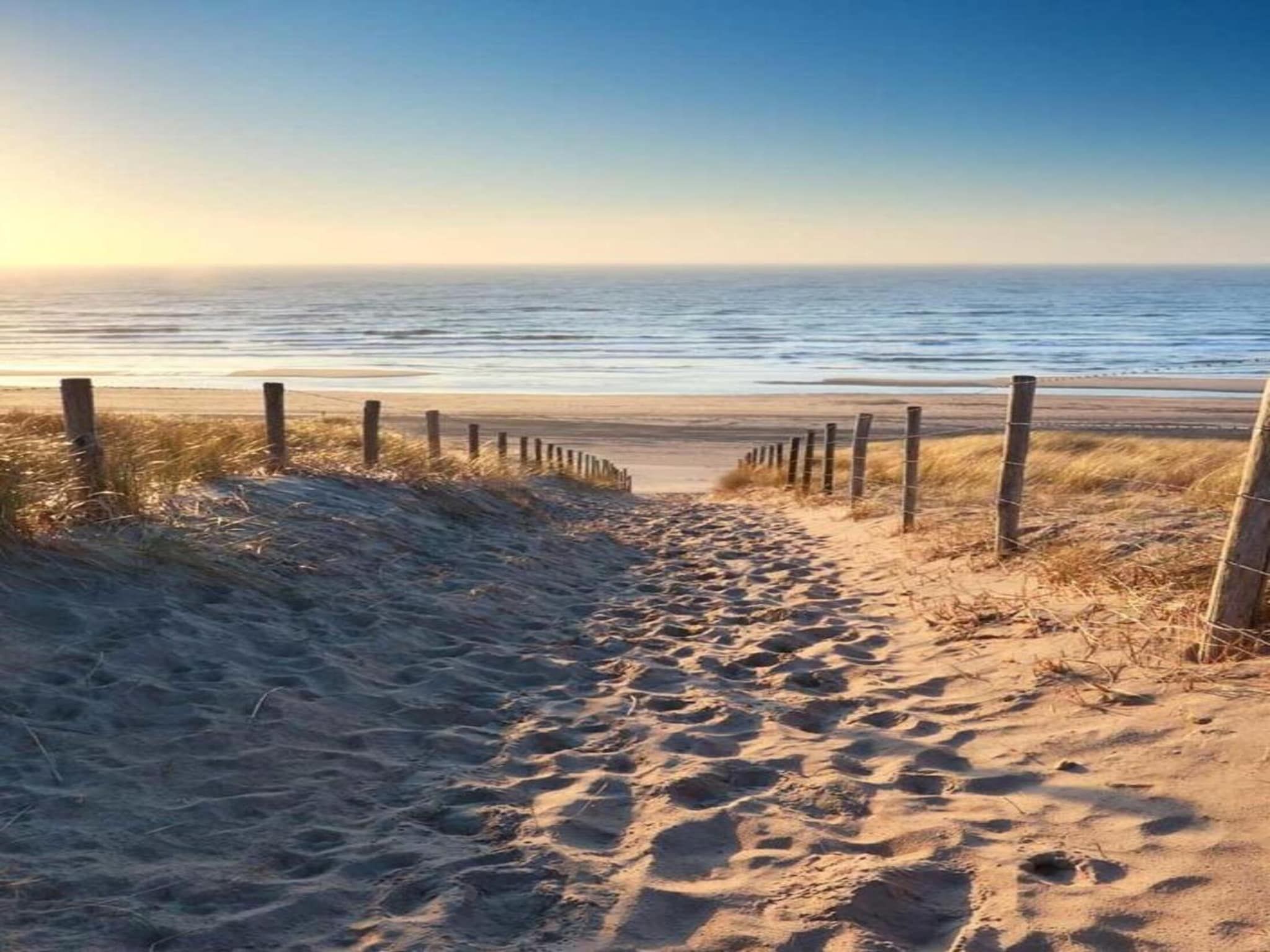 De omgeving van Fort den Haak - Chalet 1 t/m 10 huisdiervrij in Vrouwenpolder